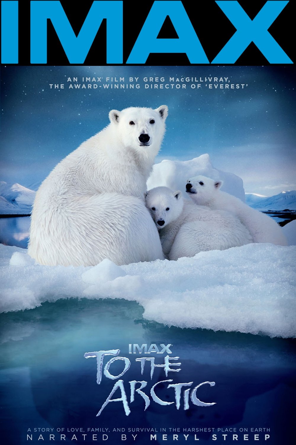 Poster de To the Arctic 3D