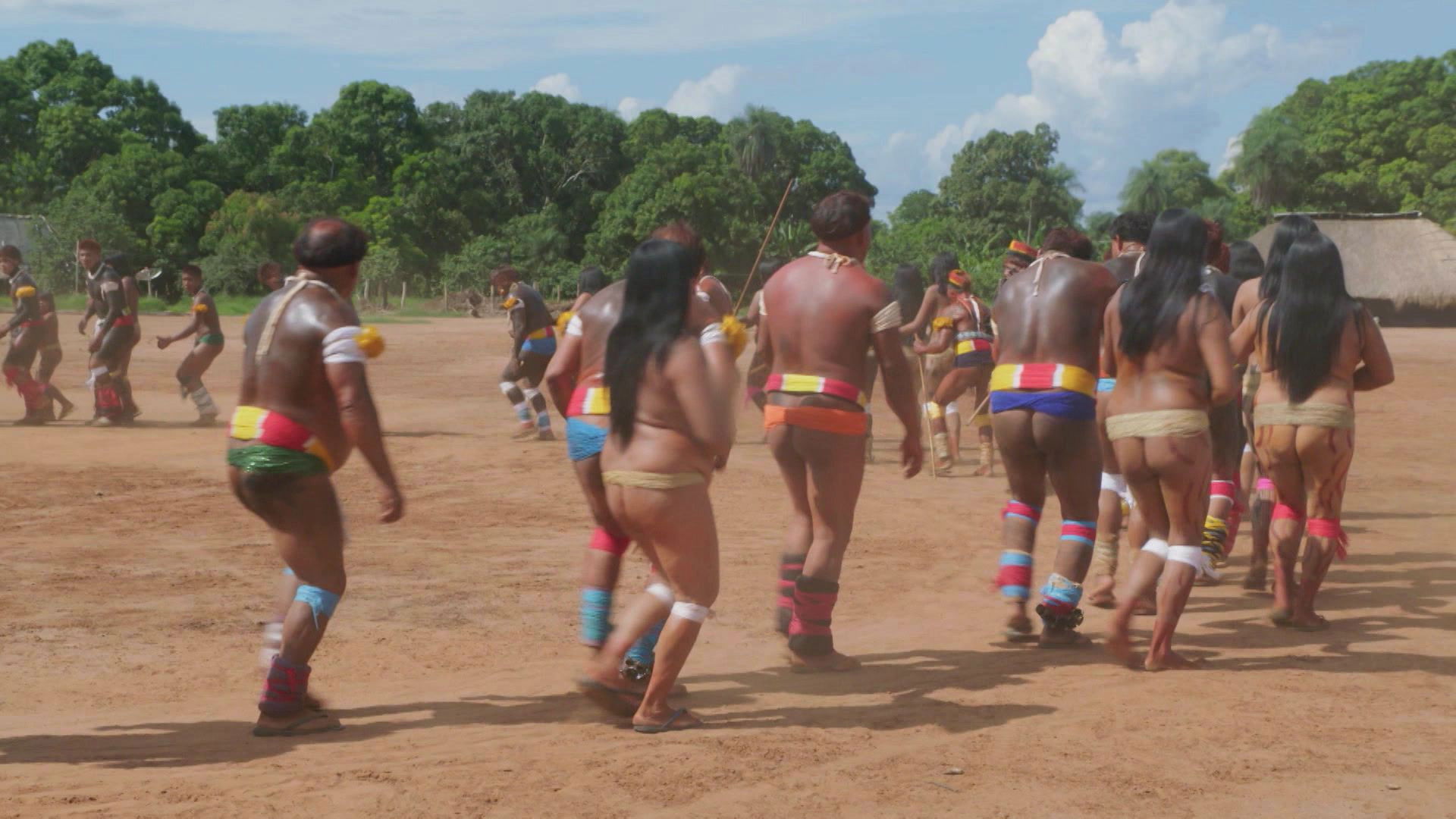 Beginnings of a Jungle Civilisation