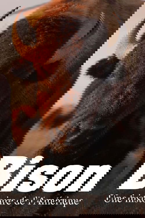 Bison : une histoire de l'Amérique