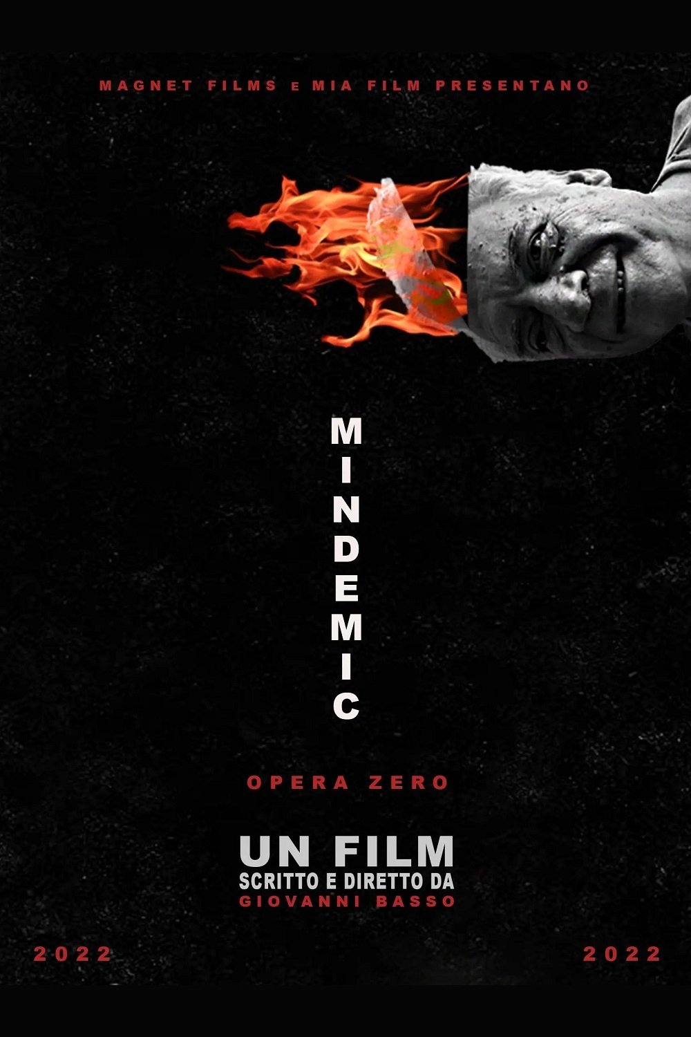 Poster de Mindemic