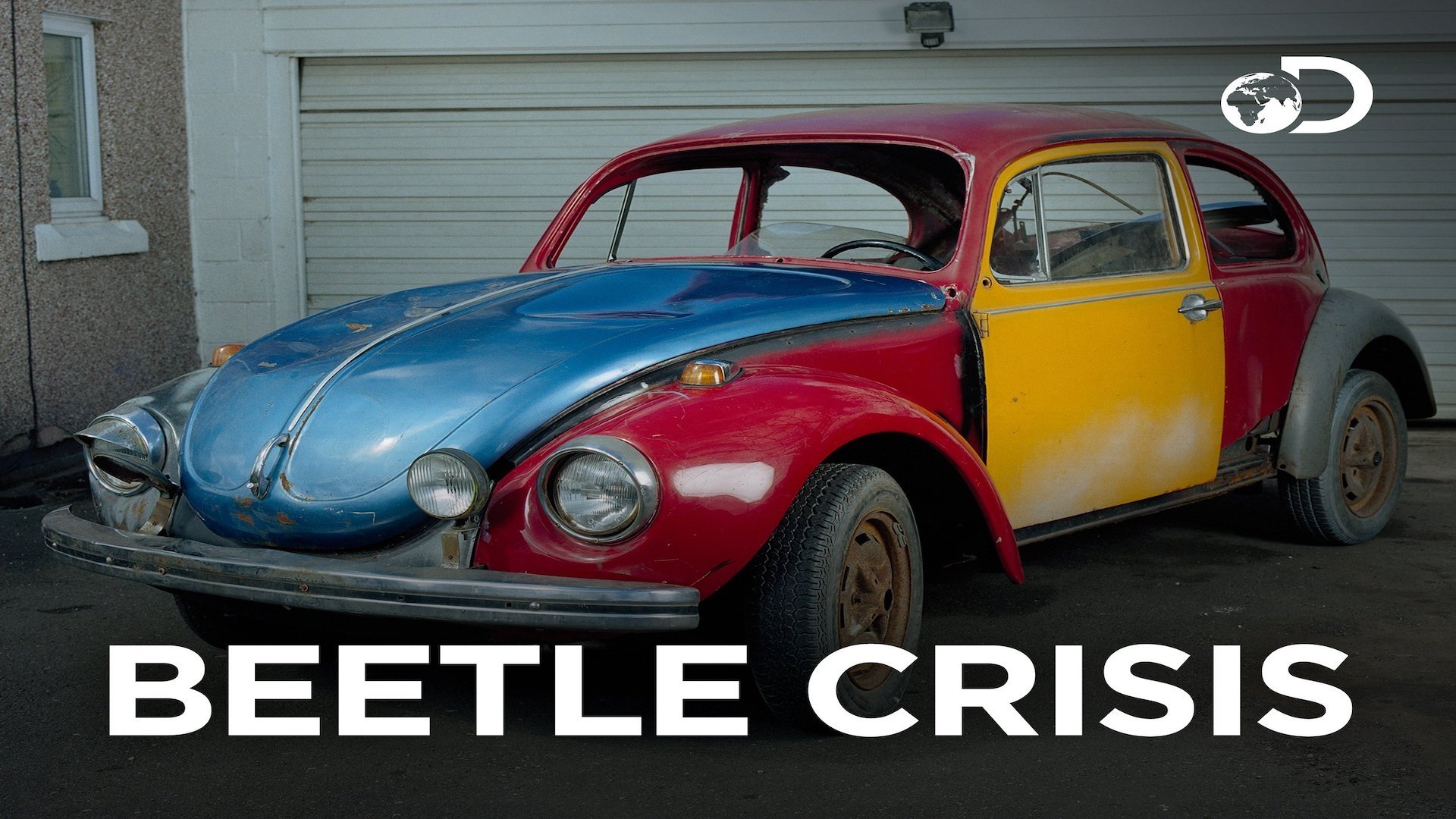 Beetle Crisis