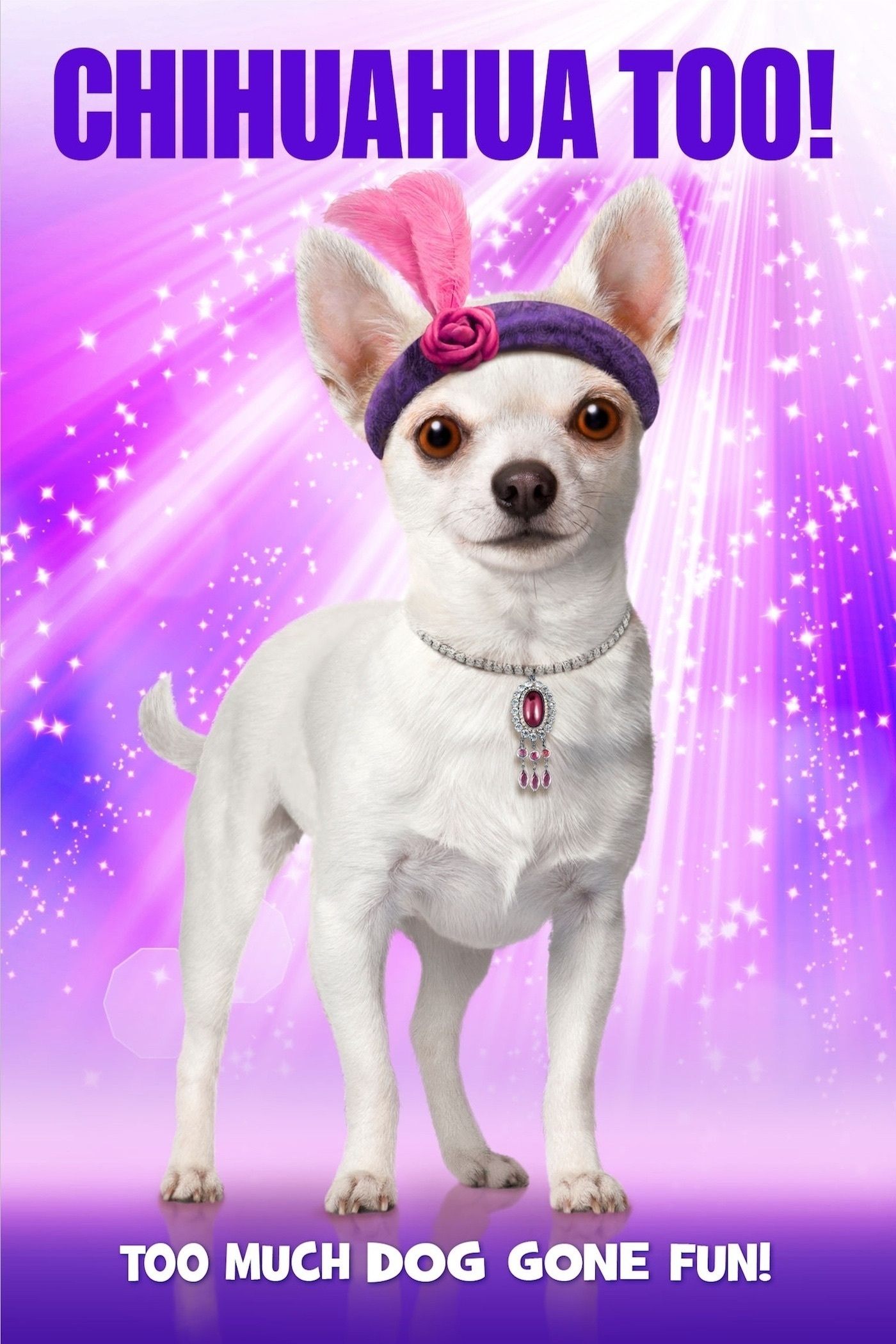 Poster de A Chihuahua Fantasminha