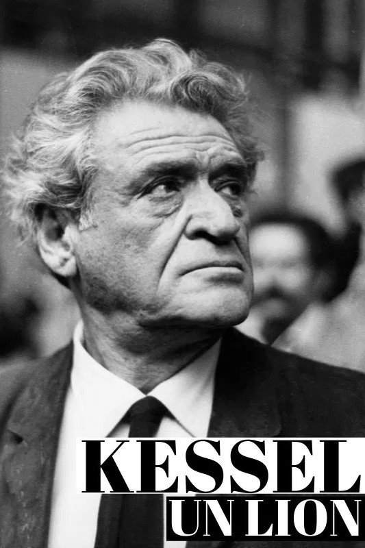 Poster de Kessel, un lion