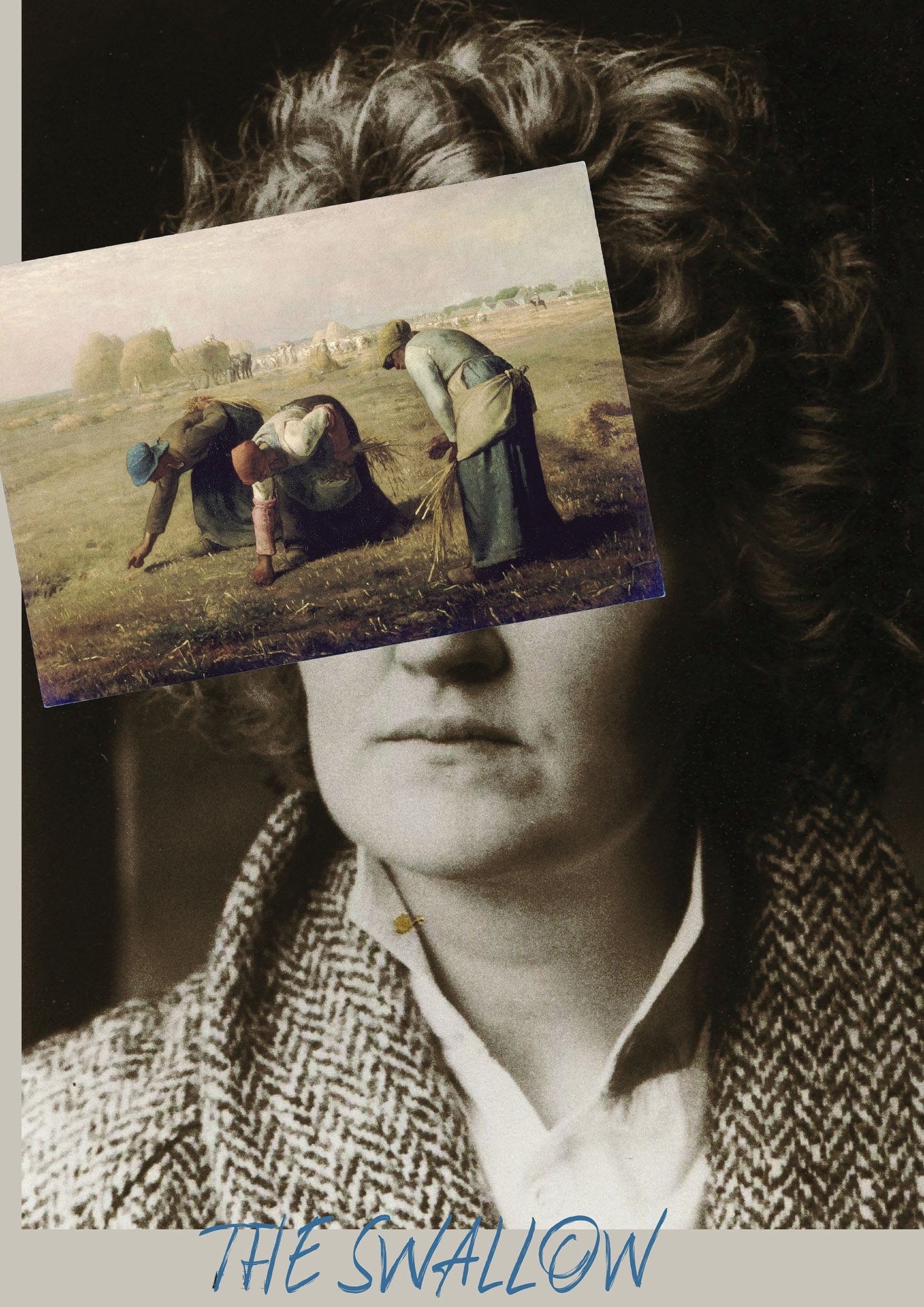 Poster de The Swallow