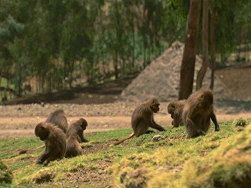 Ethiopia: Land of Extremes