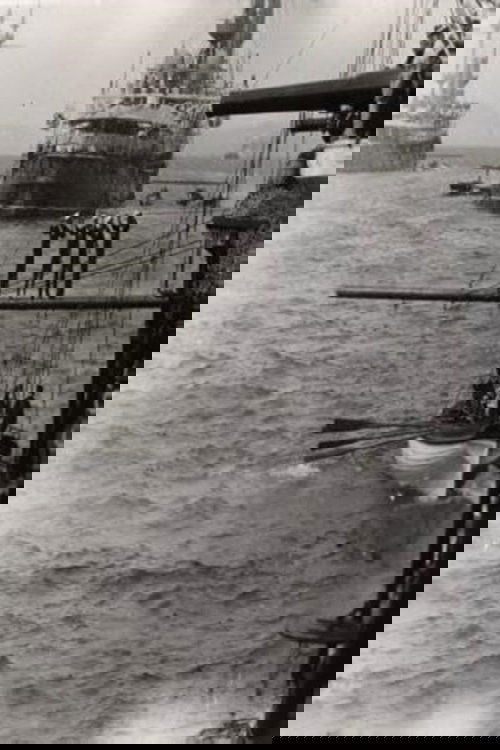 Poster de Naval Exercise