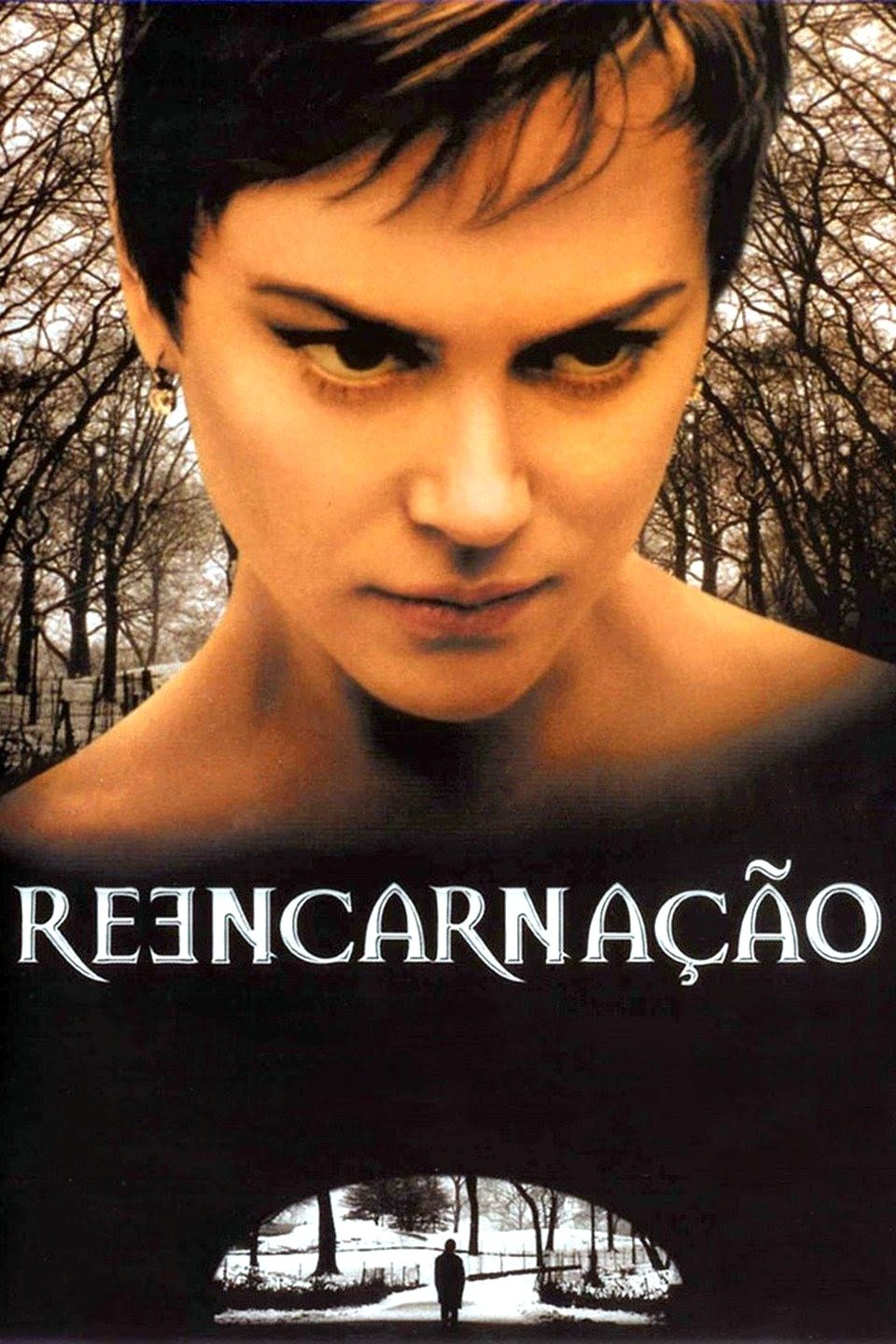 Poster de Reencarnação