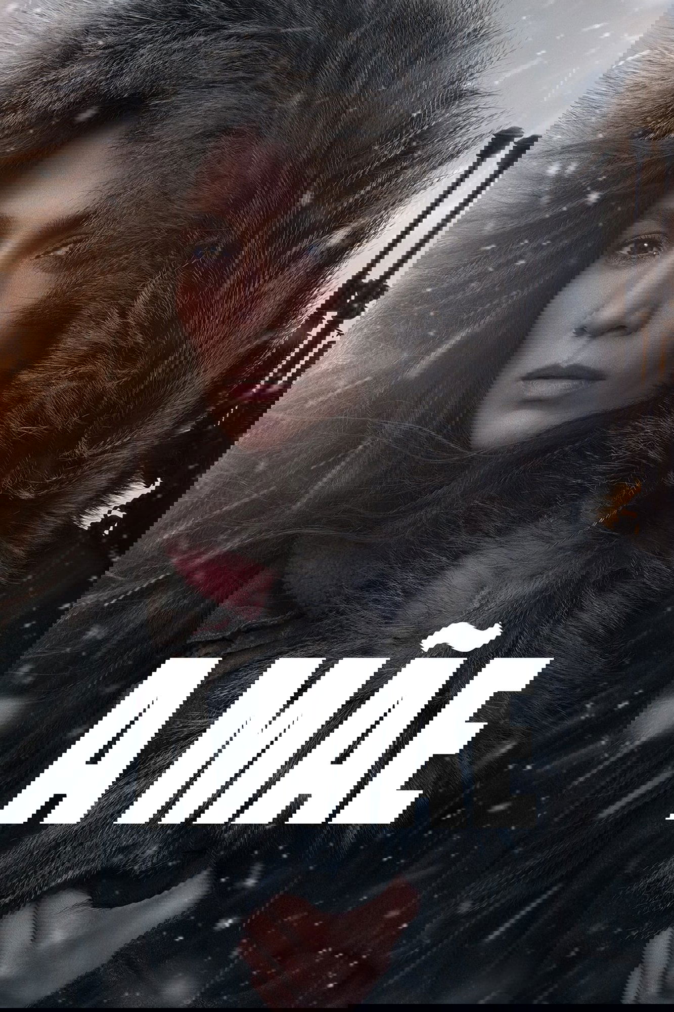 Poster de A Mãe