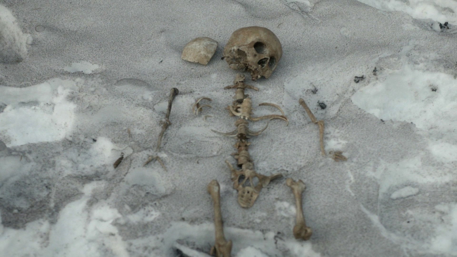 The Blind Hand of Fate