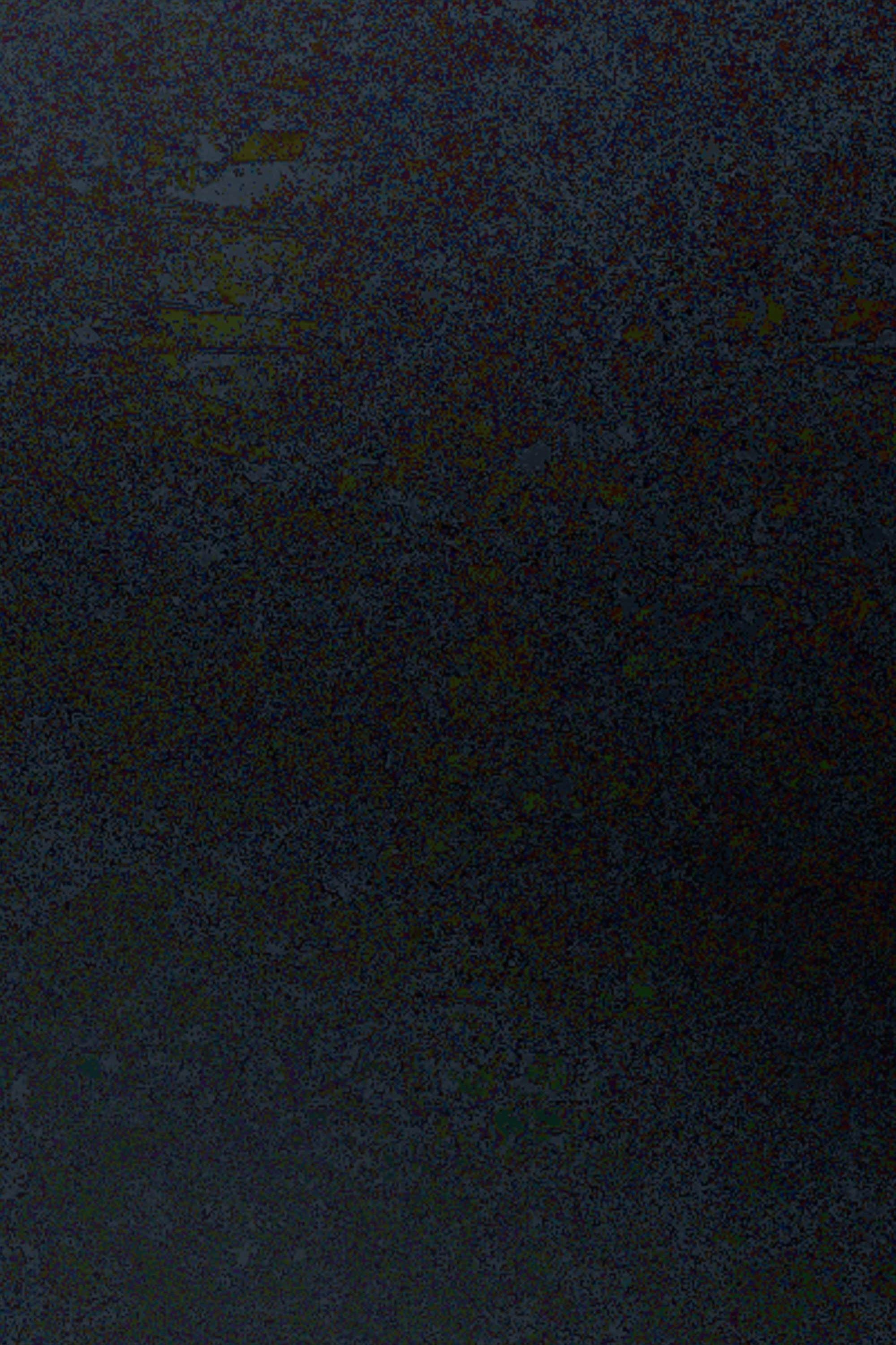 Poster de Sustained Nightmare