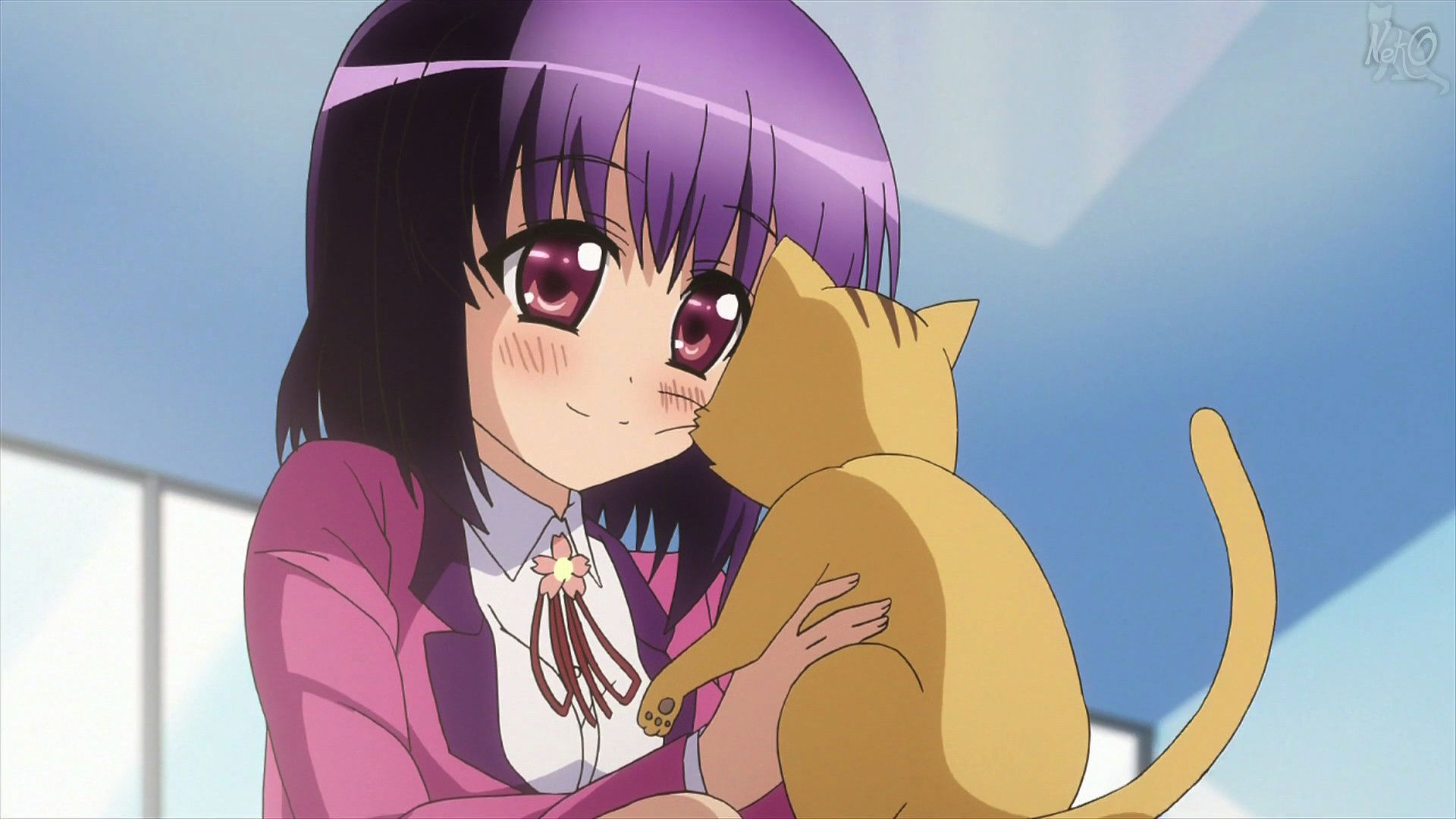 MM!: SS!  Episode 1 - Cat