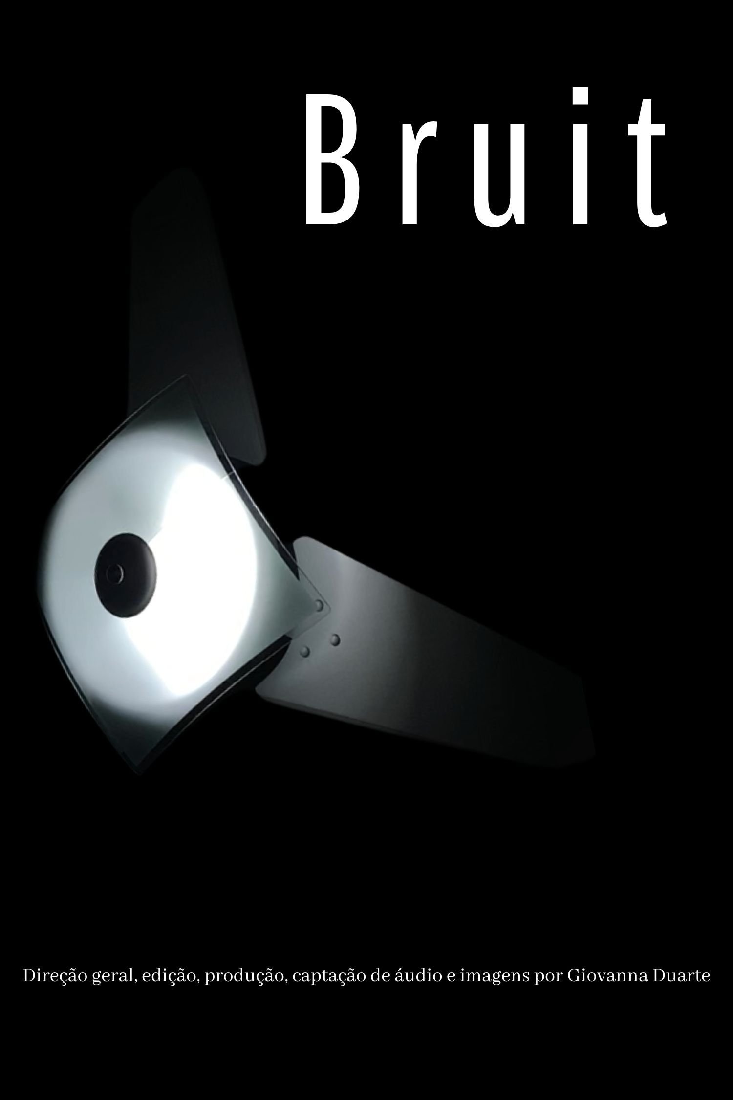Poster de Bruit