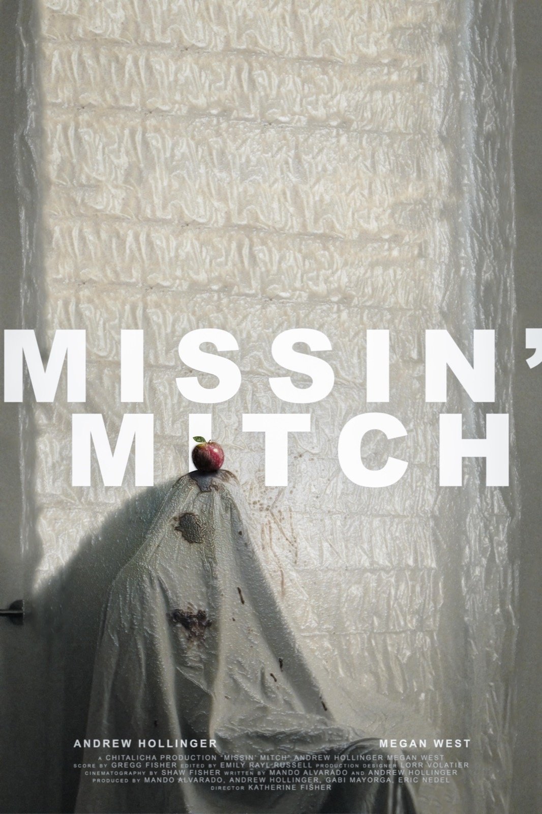 Poster de Missin' Mitch