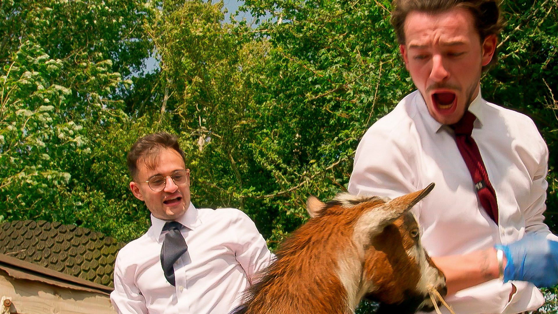 Discount Buying: Take Two