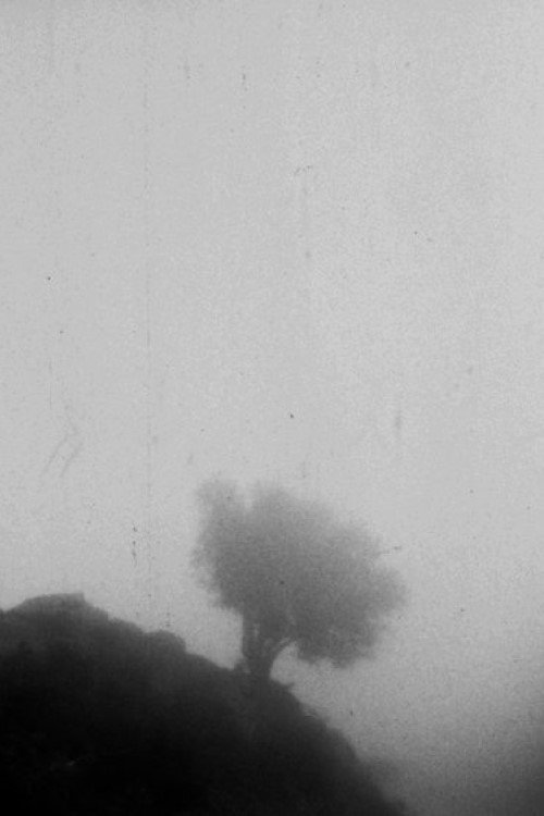 Poster de Only If You Could See a View Above the Clouds