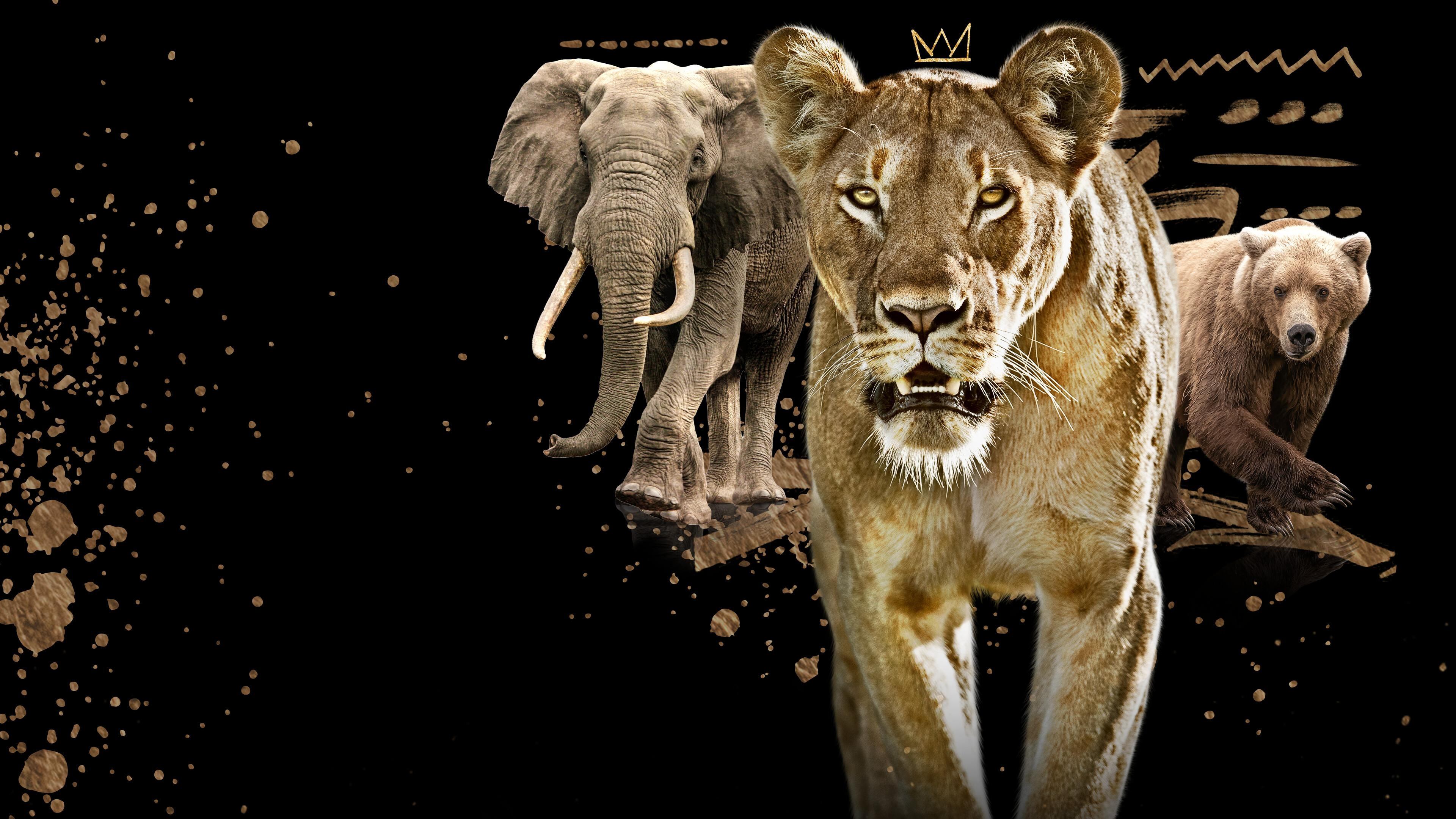 Backdrop image