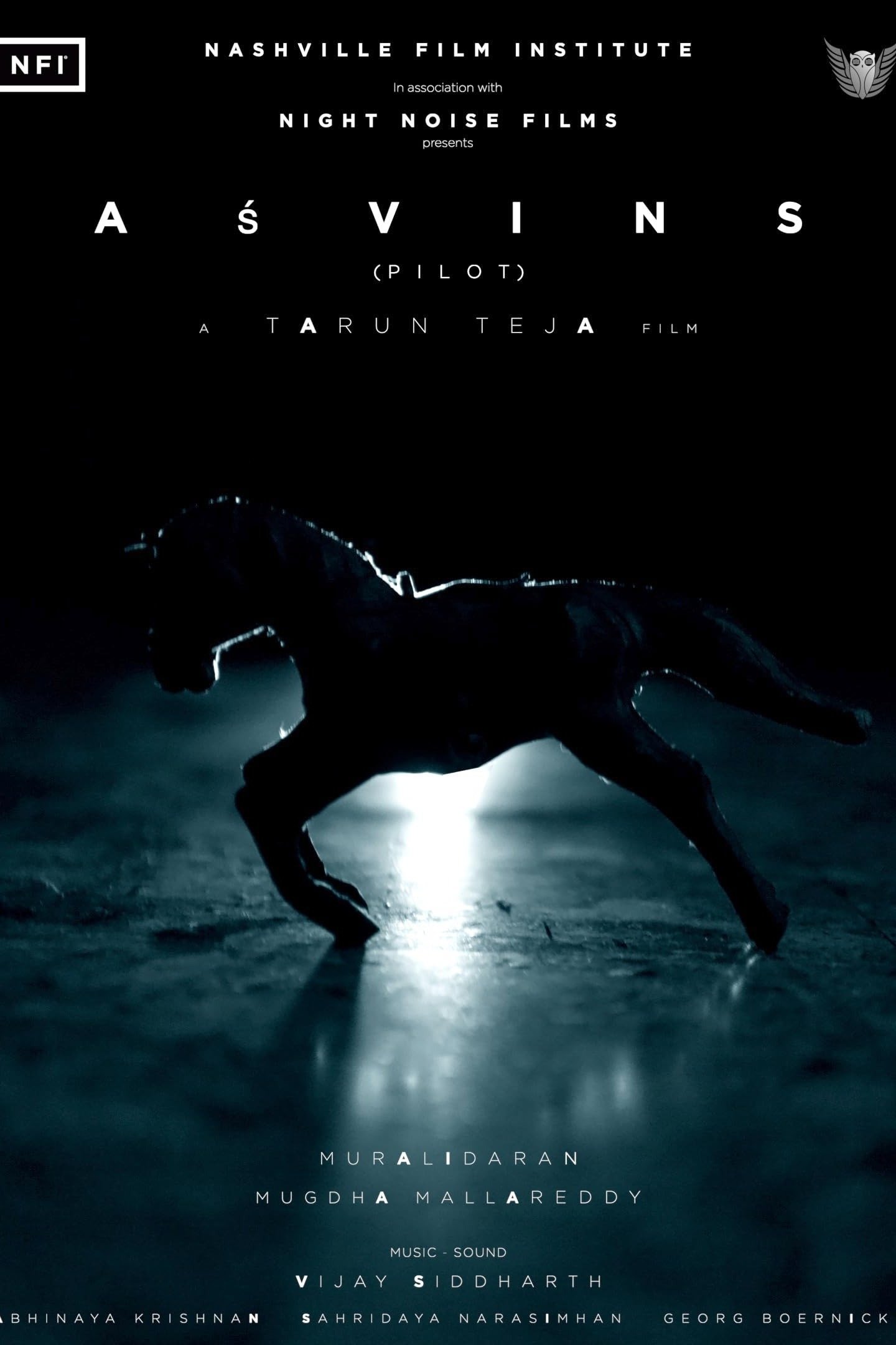 Poster de Asvins