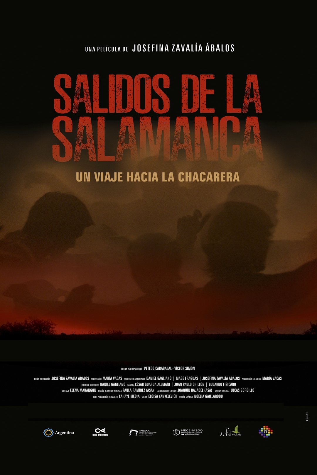Poster de Salidos de la Salamanca: Un viaje hacia la chacarera