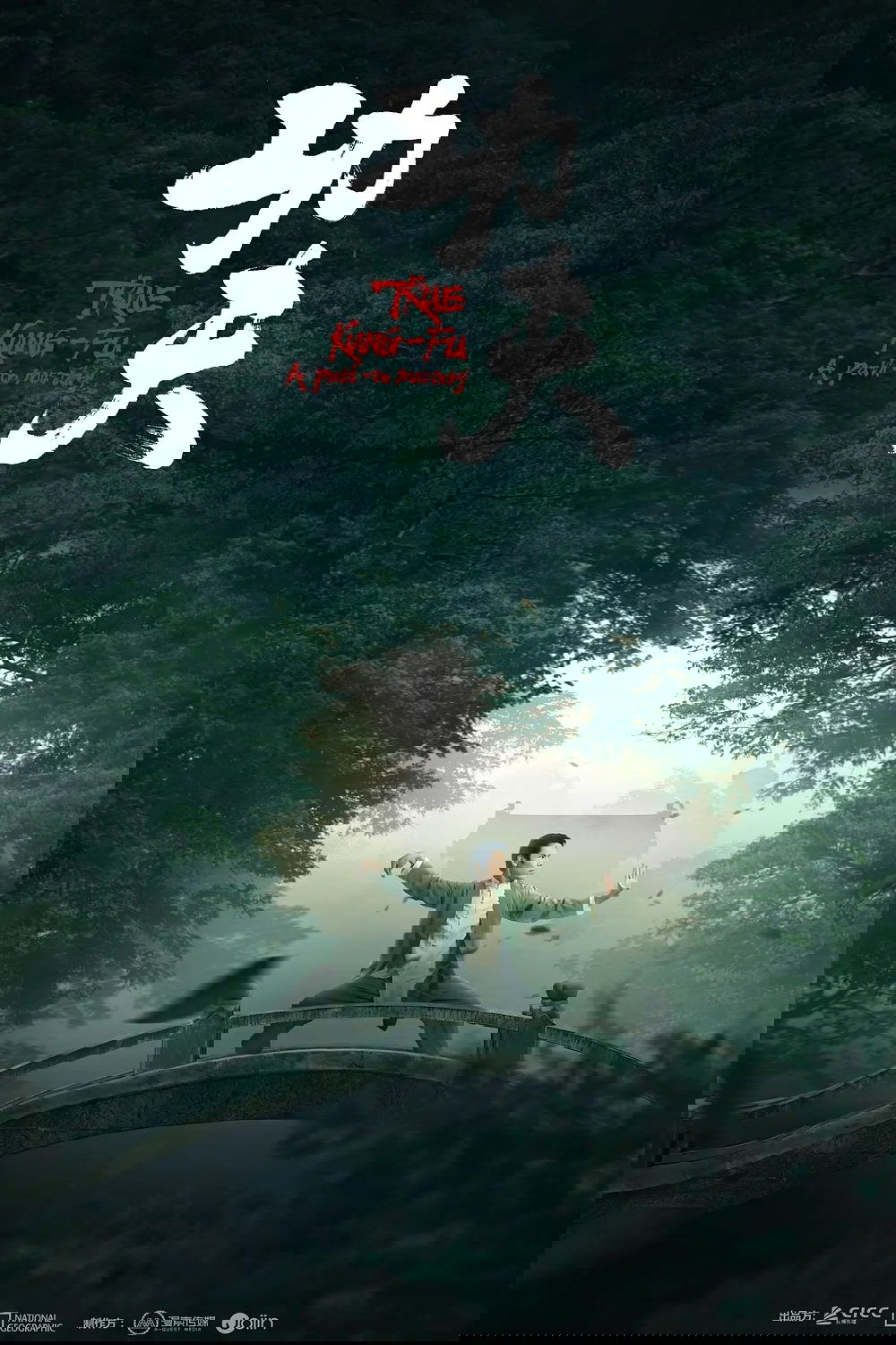 Poster de 功夫
