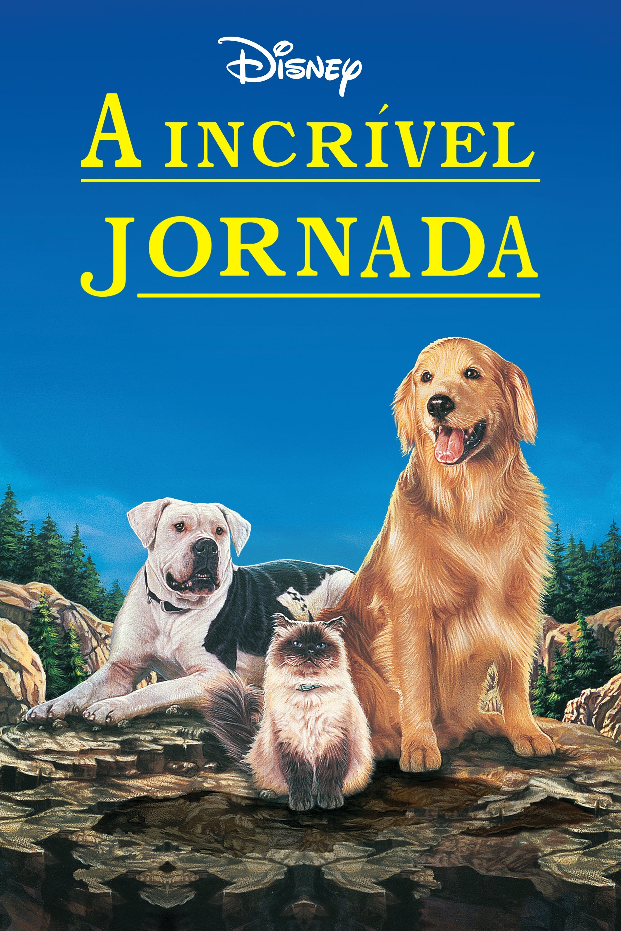 Poster de A Incrível Jornada