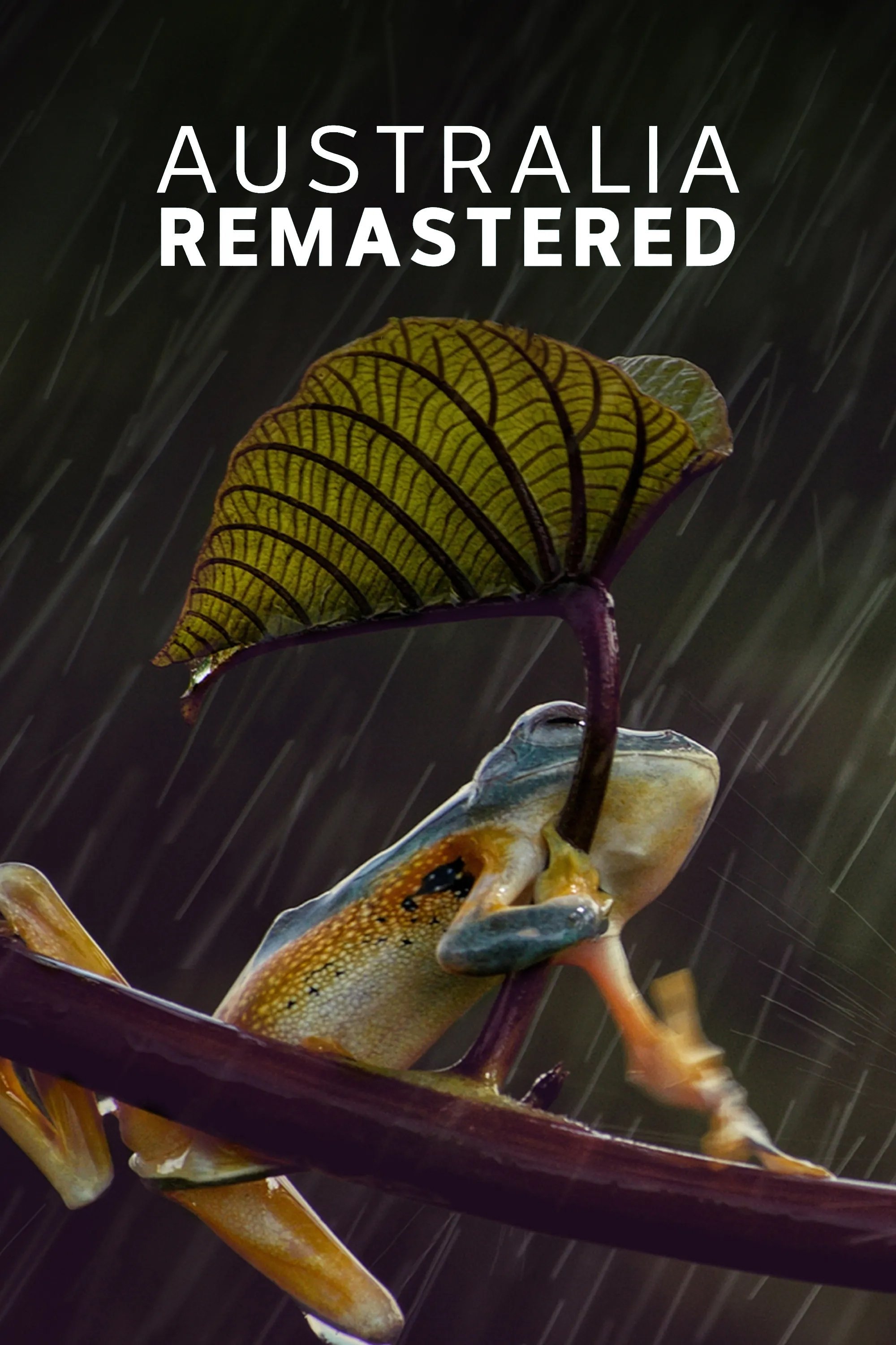 Poster de Temporada 6