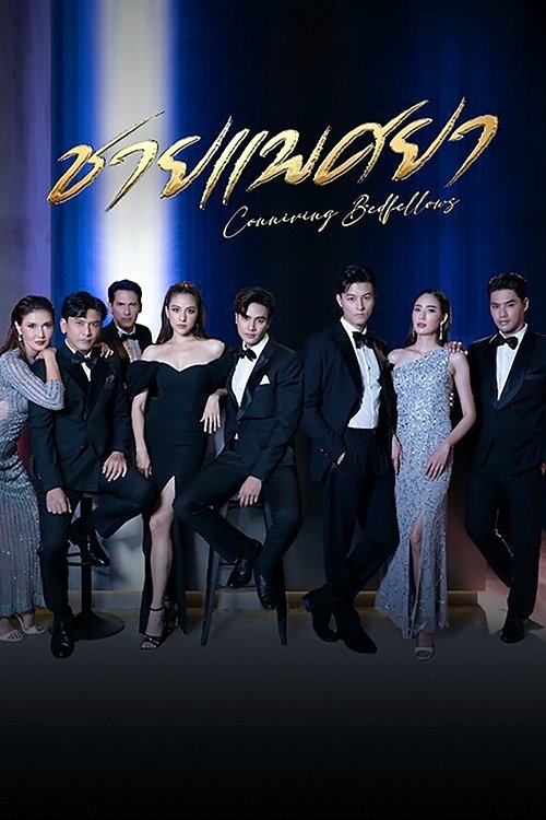 Poster de ชายแพศยา