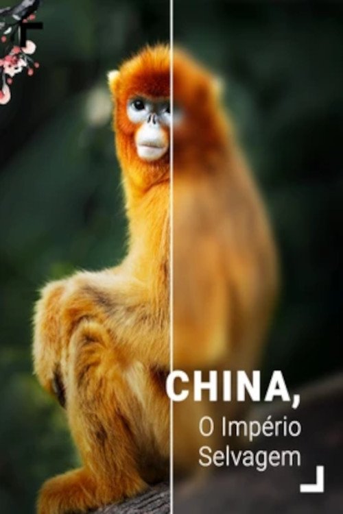 Poster de China: Um Império Selvagem