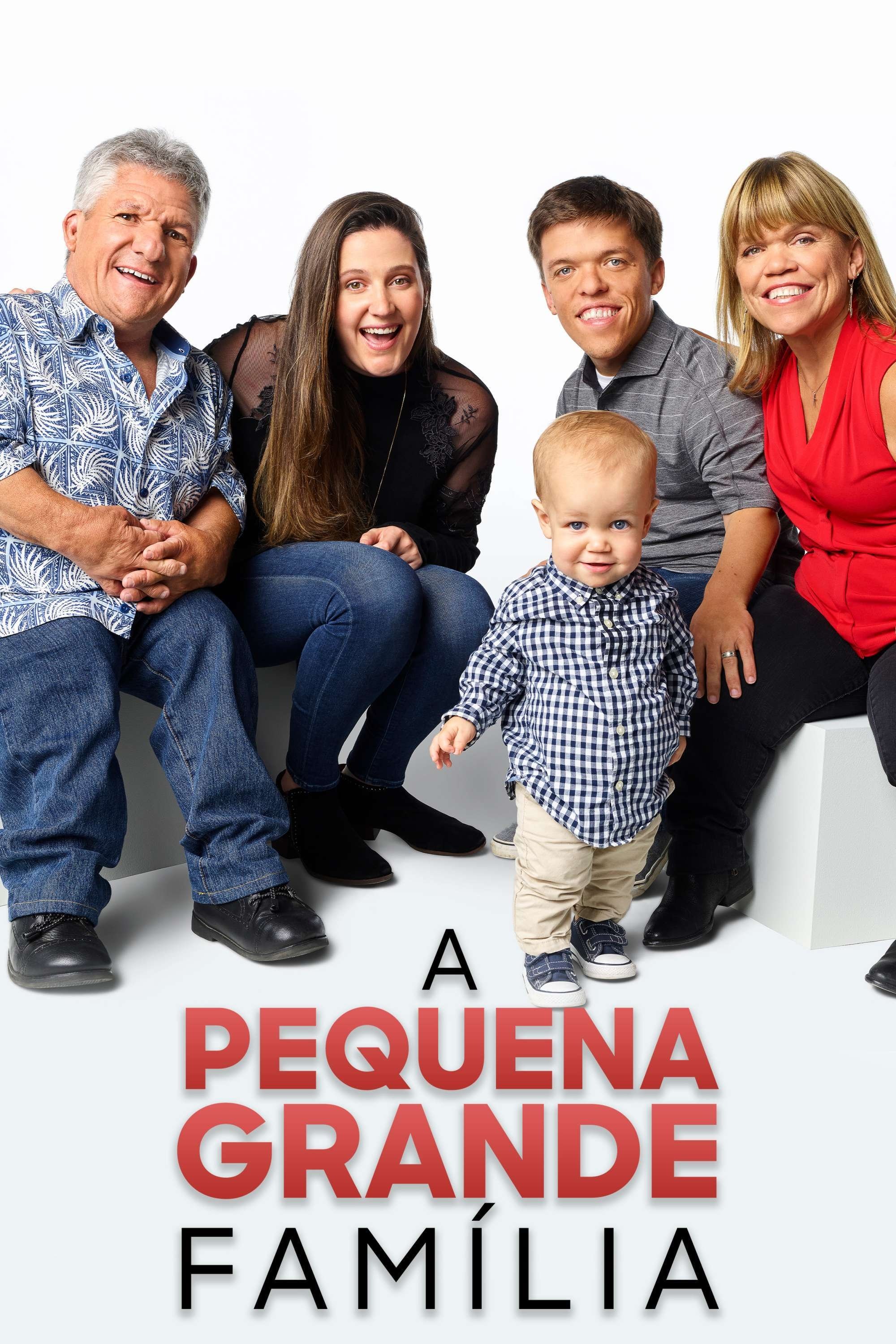 Poster de A Pequena Grande Família