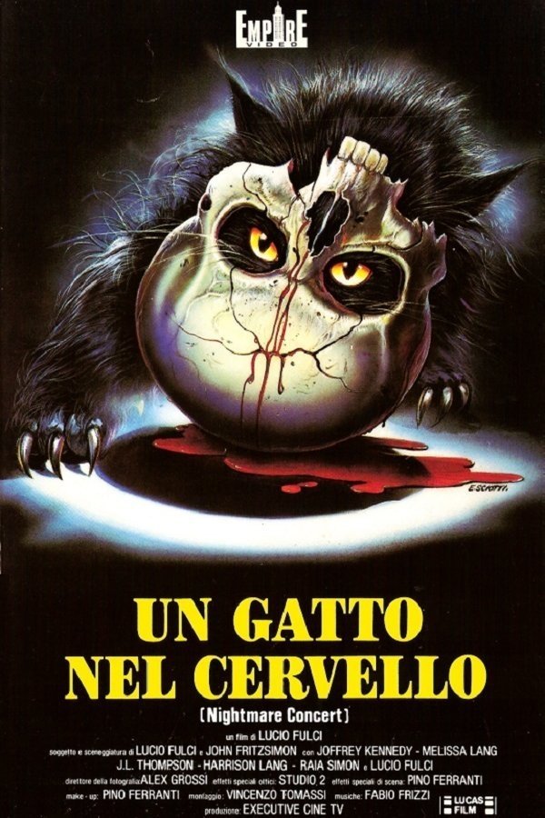 Affiche du film Nightmare concert