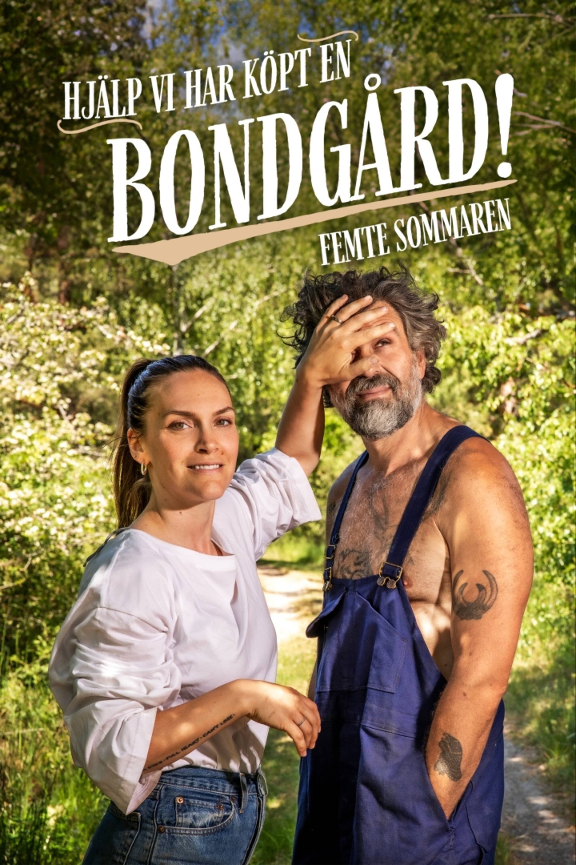 Poster de Temporada 5