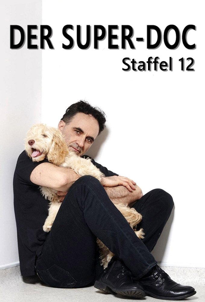 Poster de Temporada 12