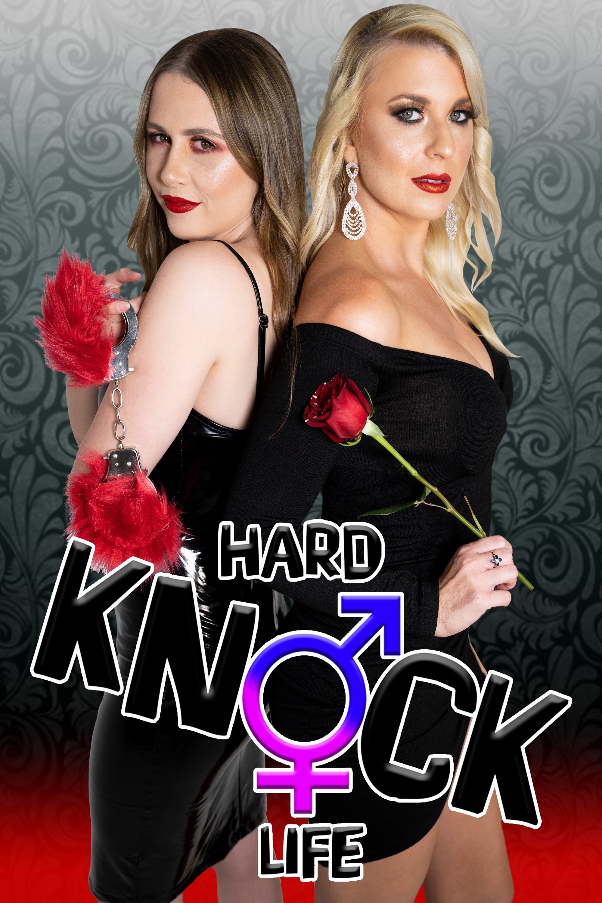 Poster de Hard Knock Life