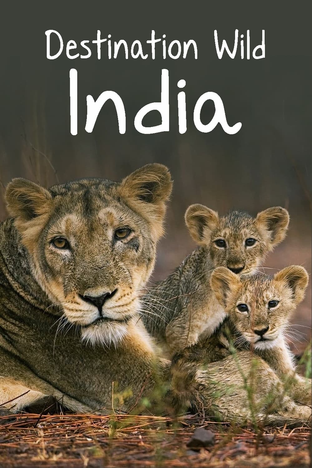 Poster de Destination Wild: India