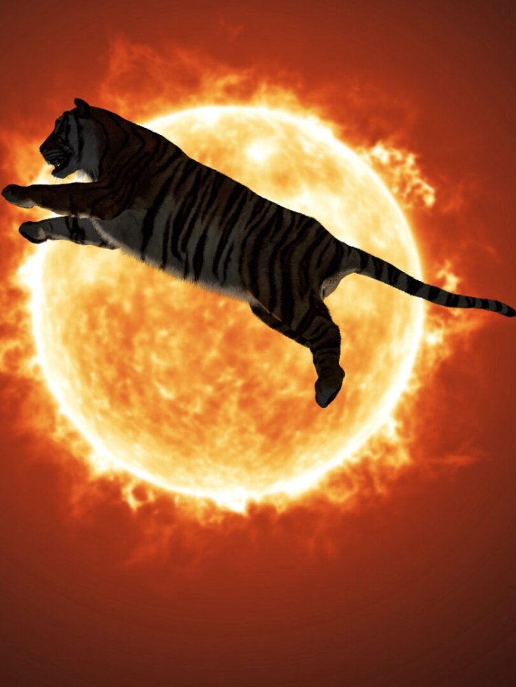 Poster de One or Several Tigers