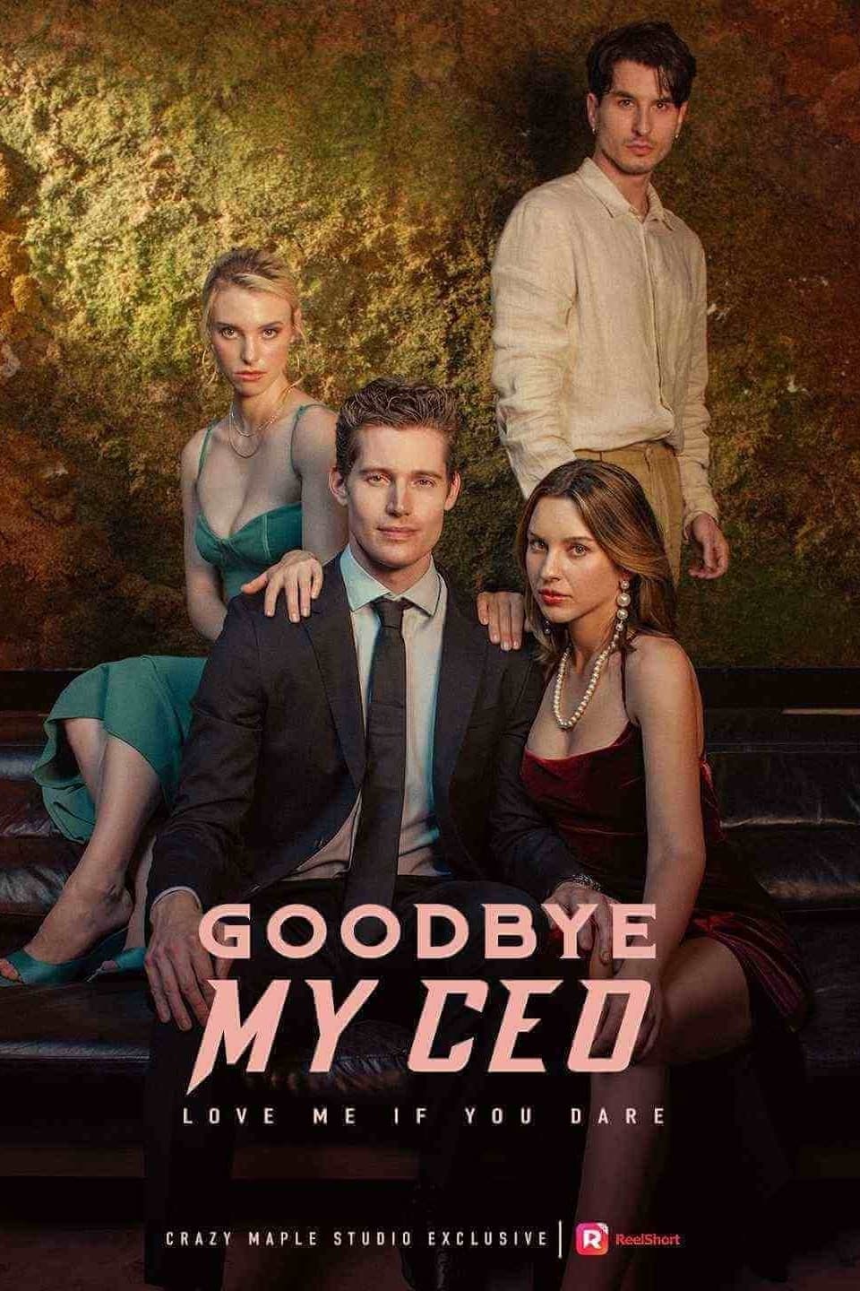 Poster de Goodbye, My CEO