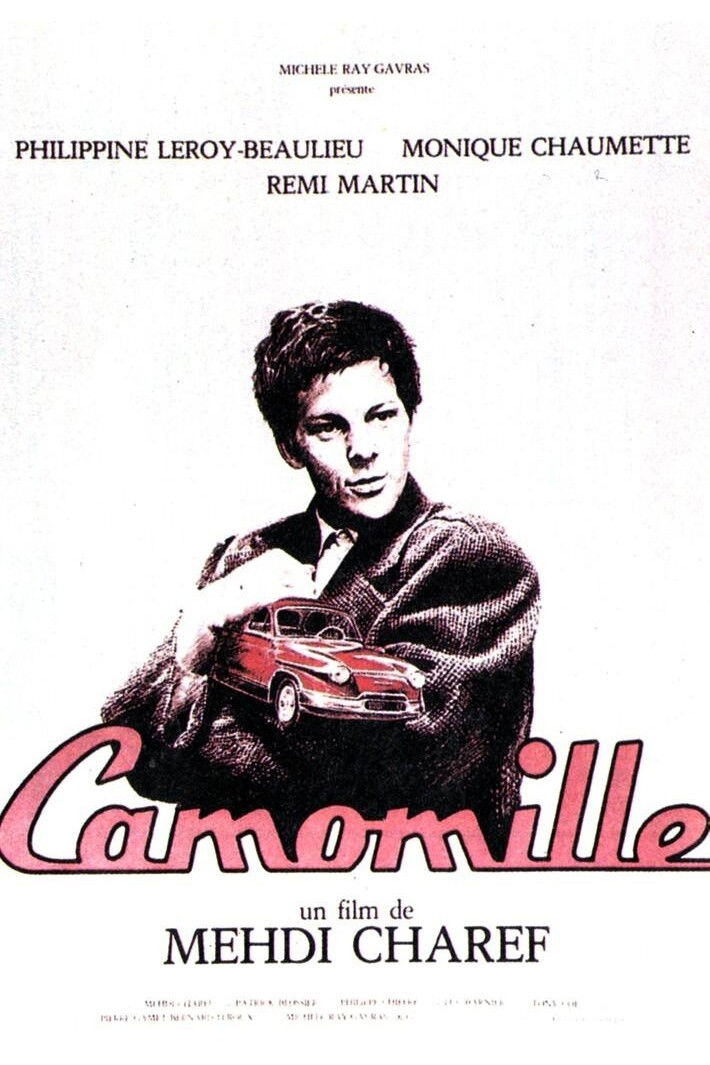 Camomille