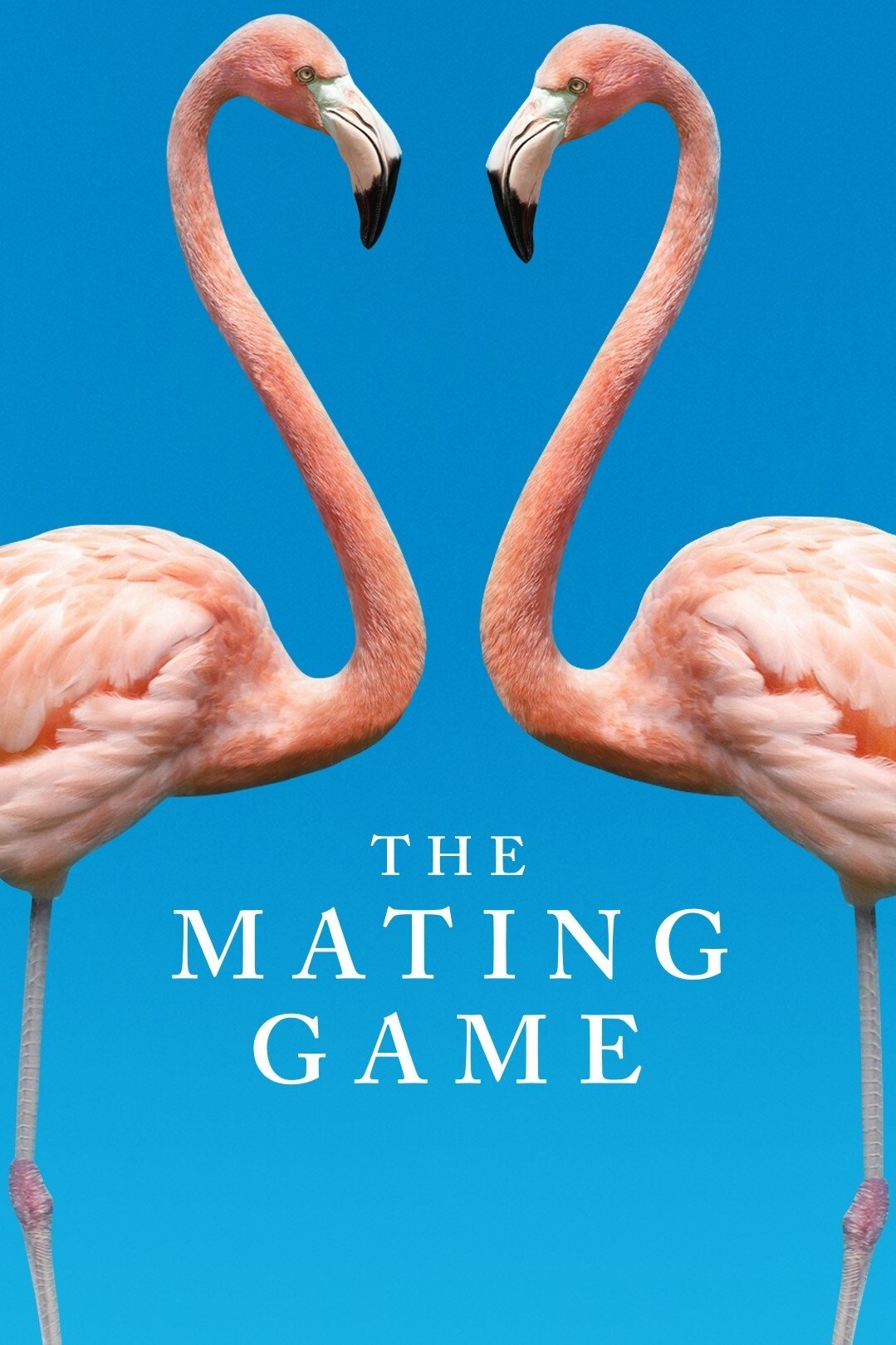 Poster de The Mating Game