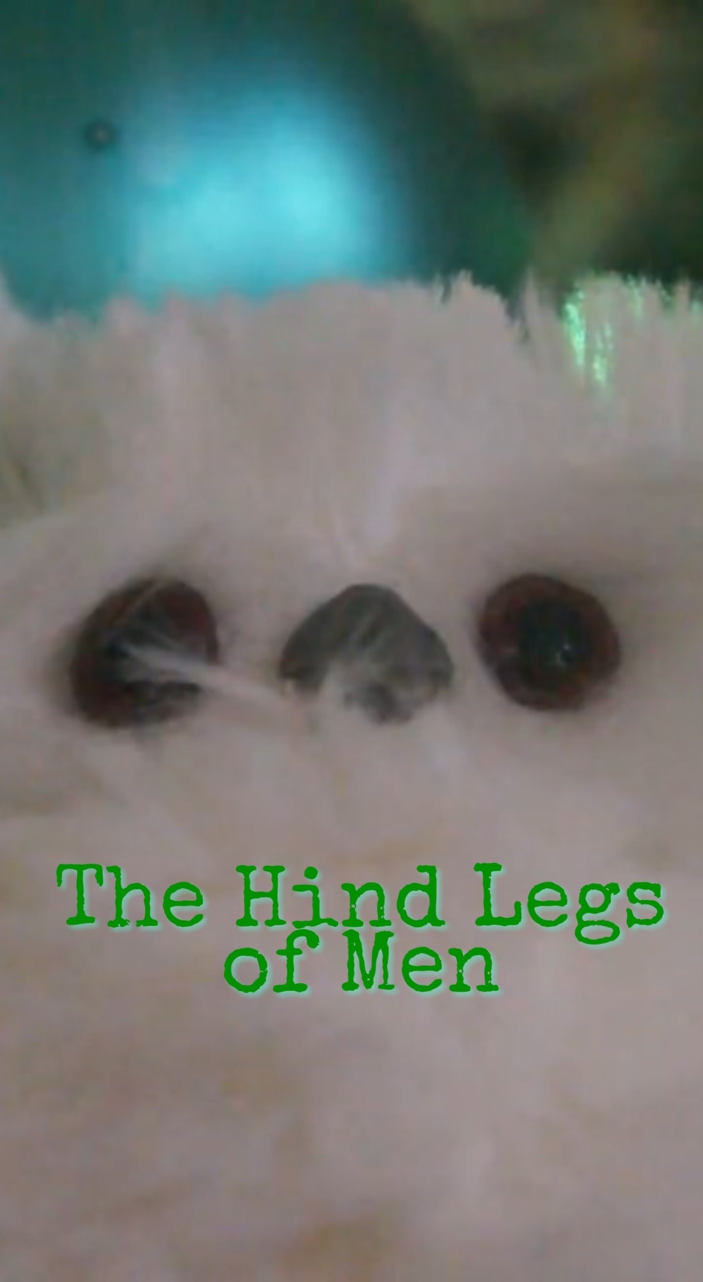 Poster de A Christmas Story: The Hind Legs of Men (Their Only Legs)