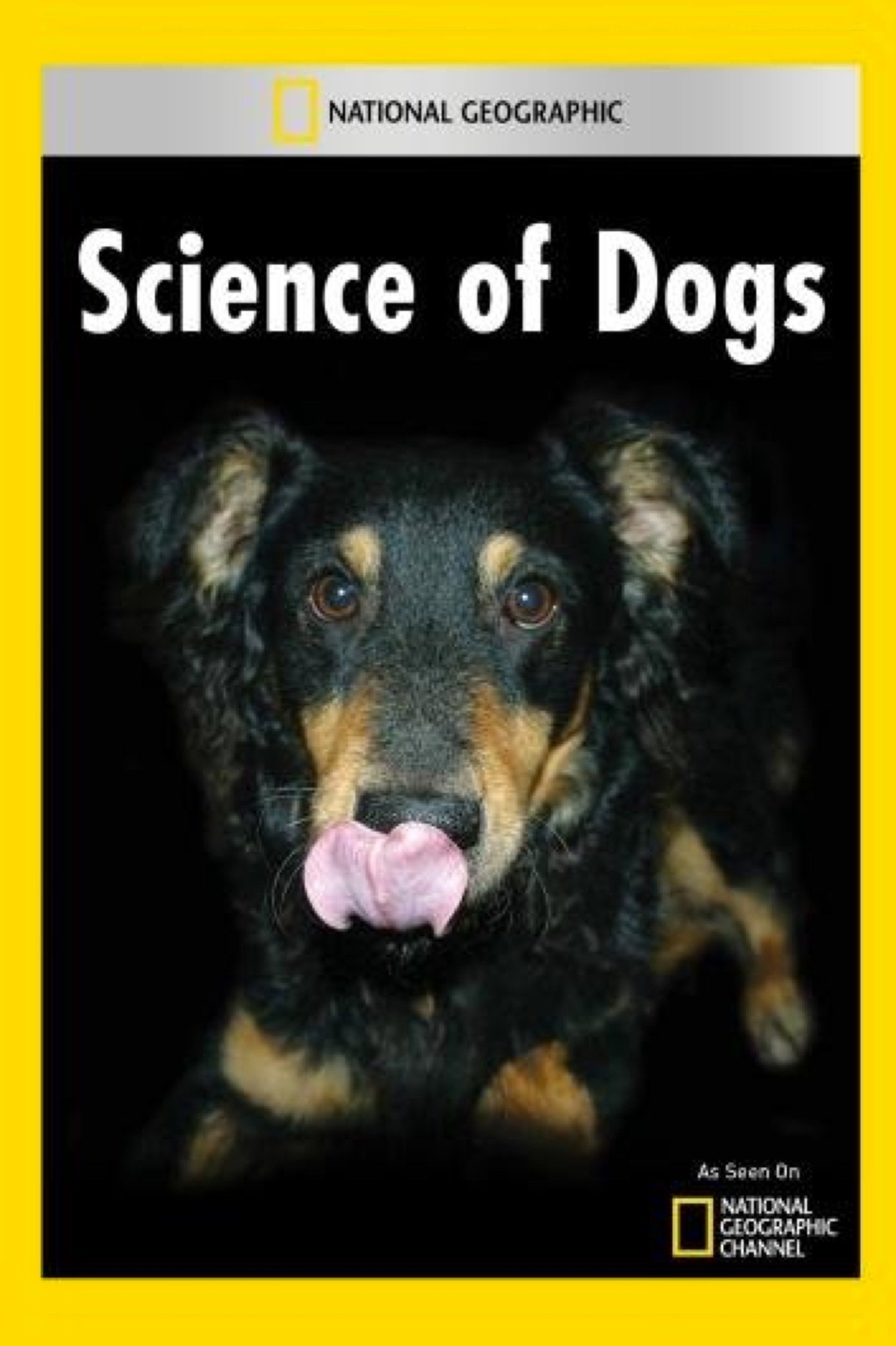Poster de National Geographic Explorer: Science of Dogs