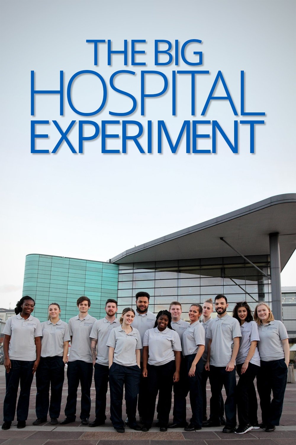 Poster de The Big Hospital Experiment