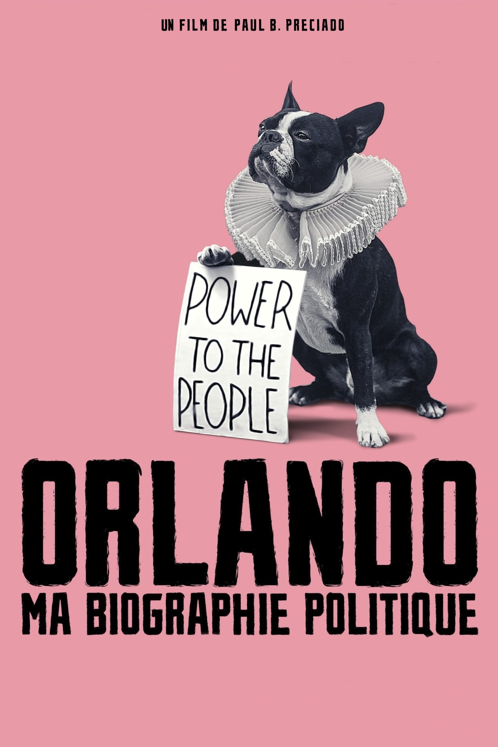 Poster de Orlando, Minha Biografia Política