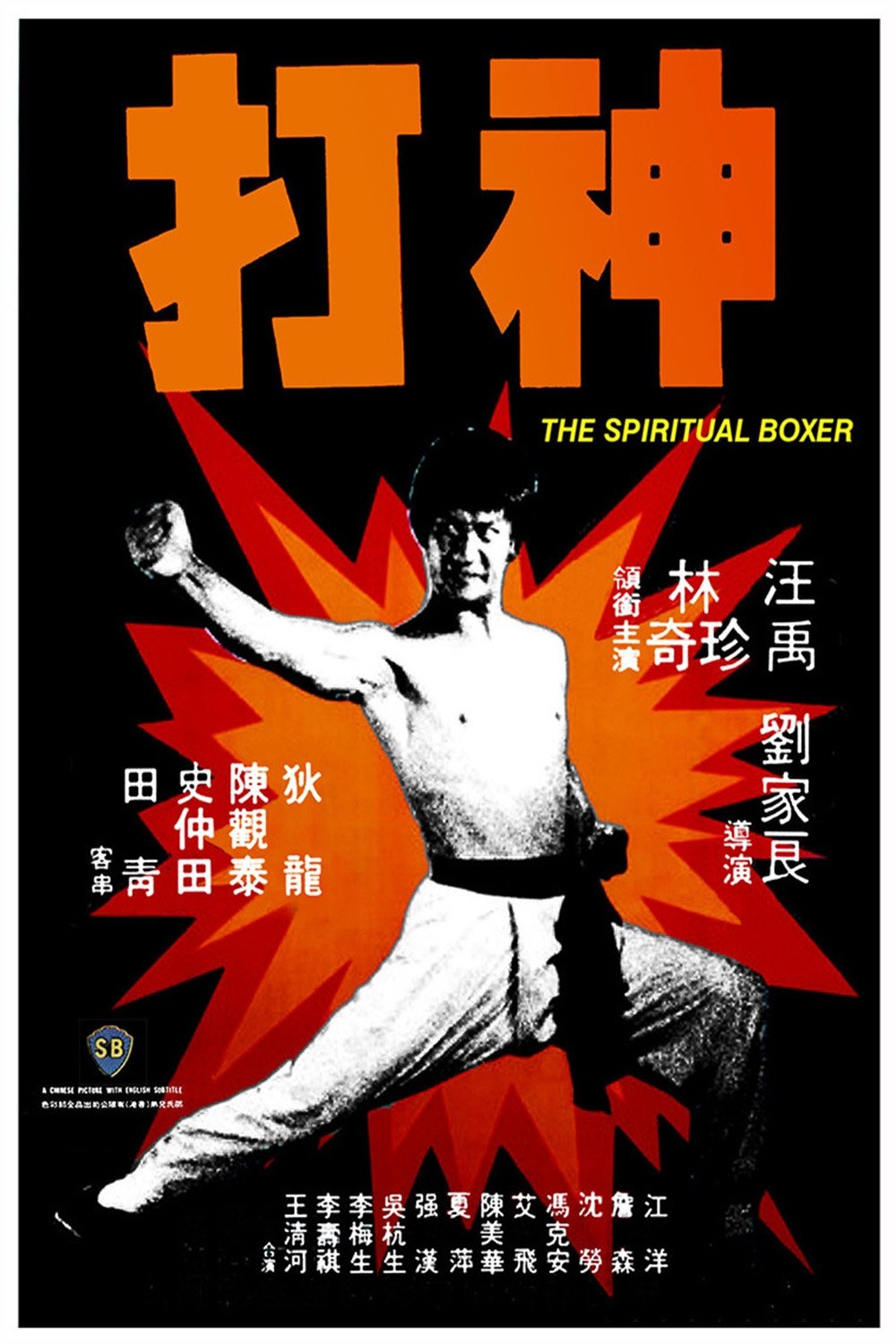 Poster de O Lutador Espiritual