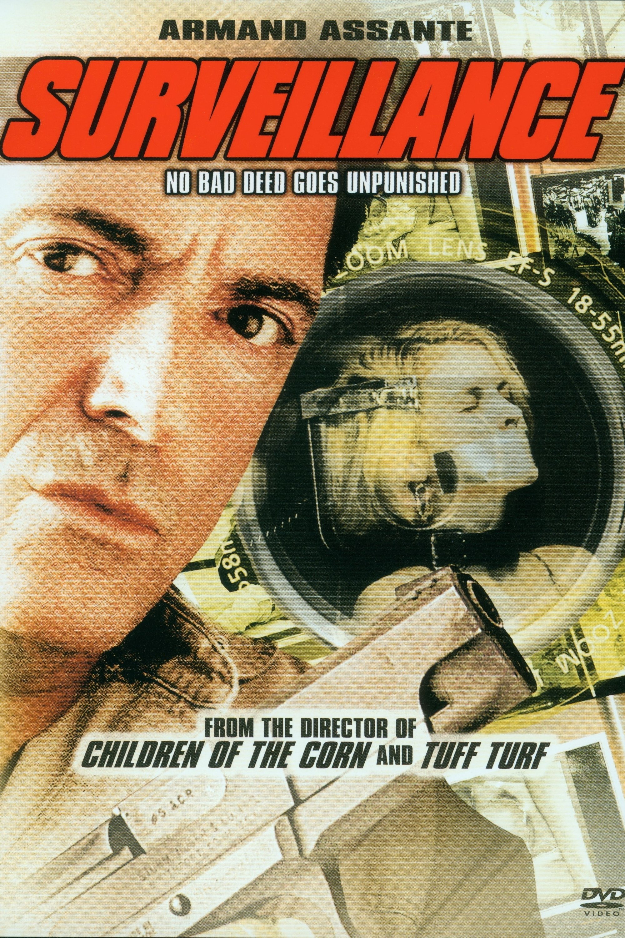 Poster de O Vigilante