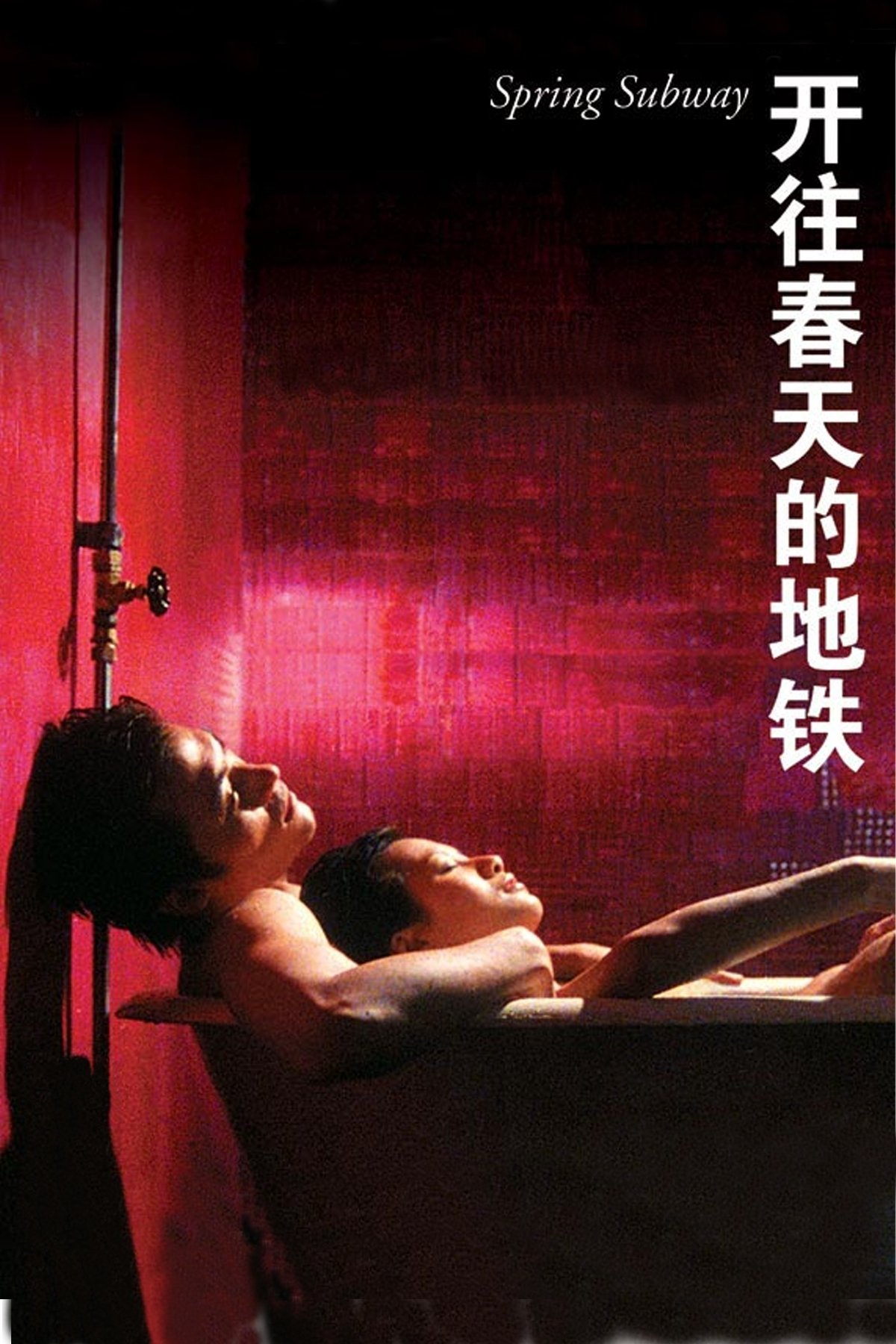 Poster de 开往春天的地铁