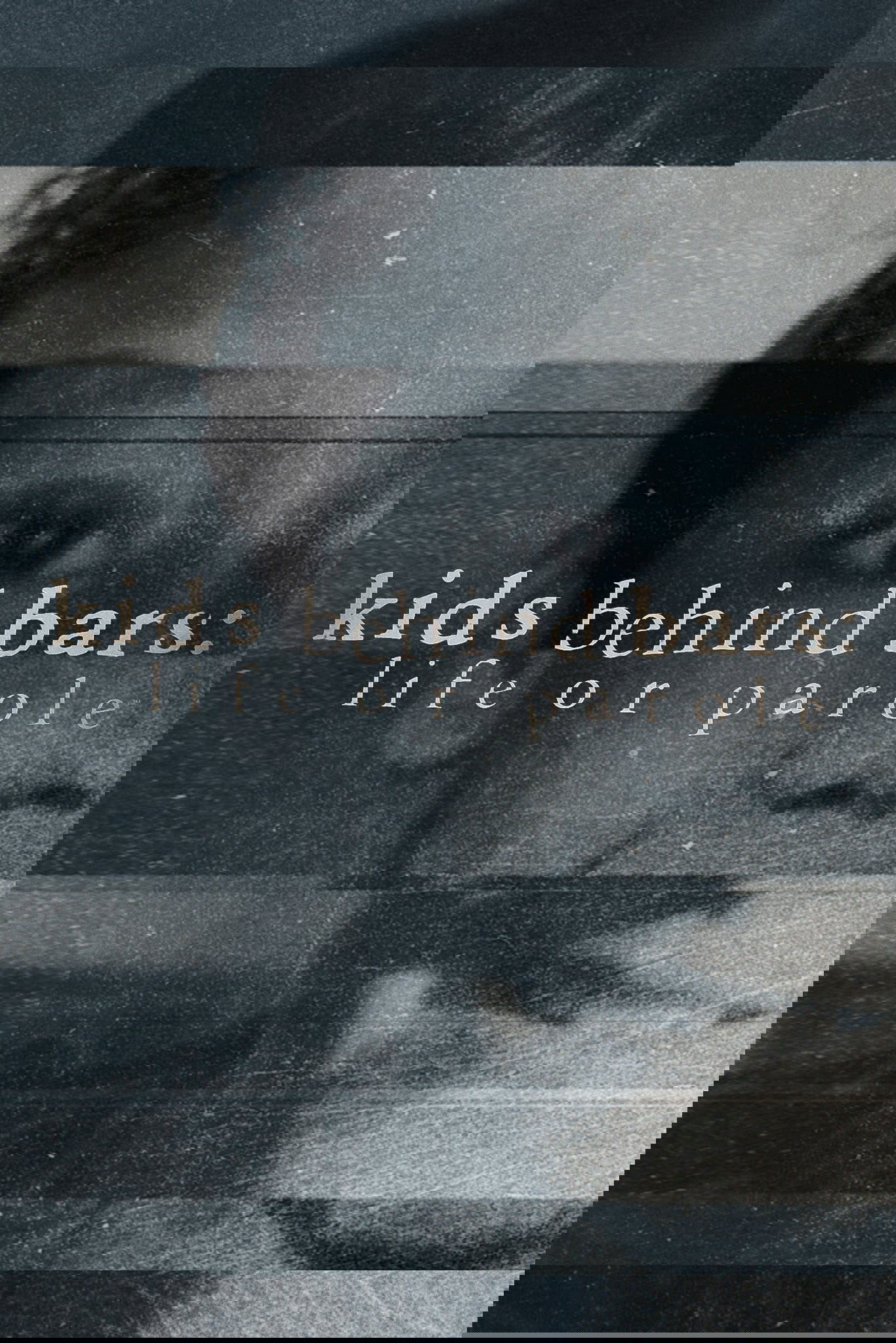 Poster de Kids Behind Bars: Life or Parole