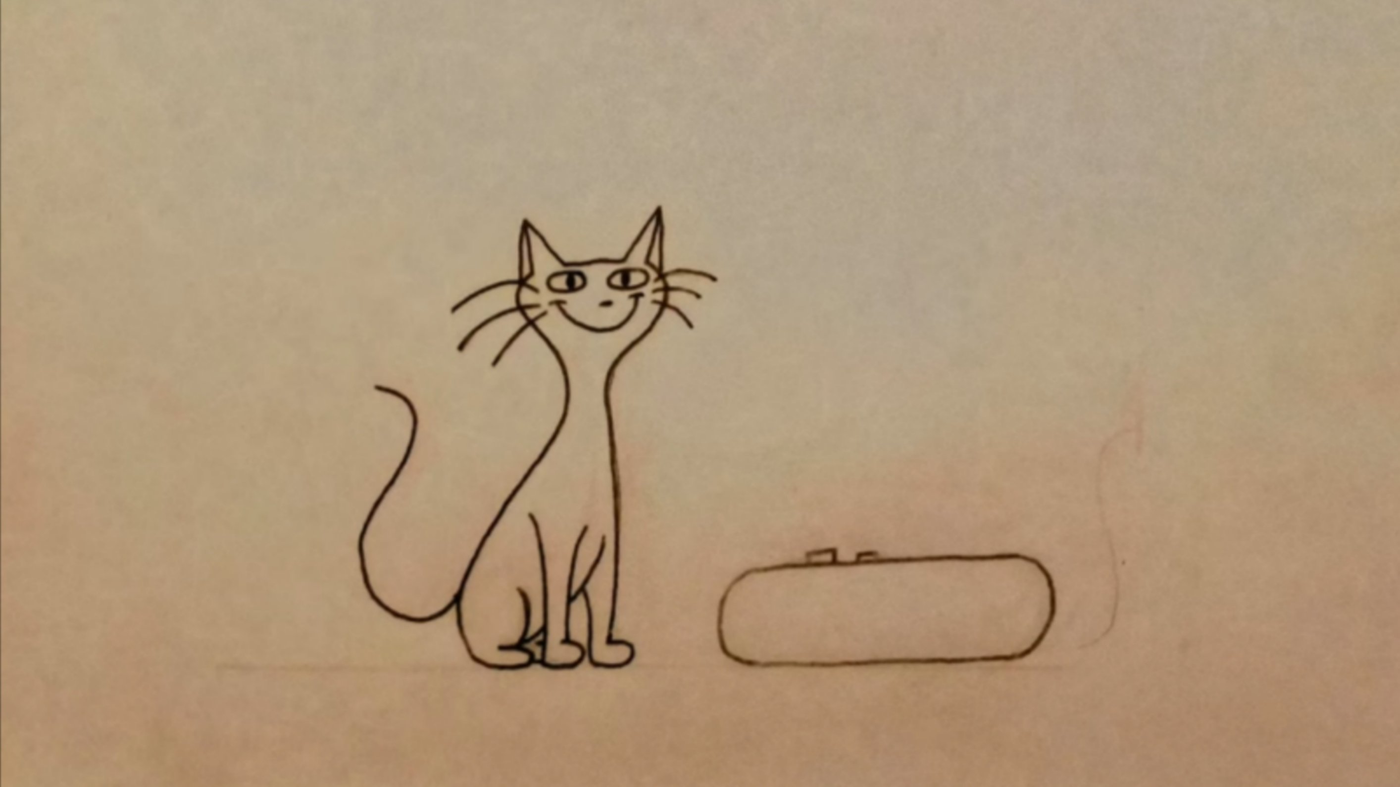 Box Cat Has A Message