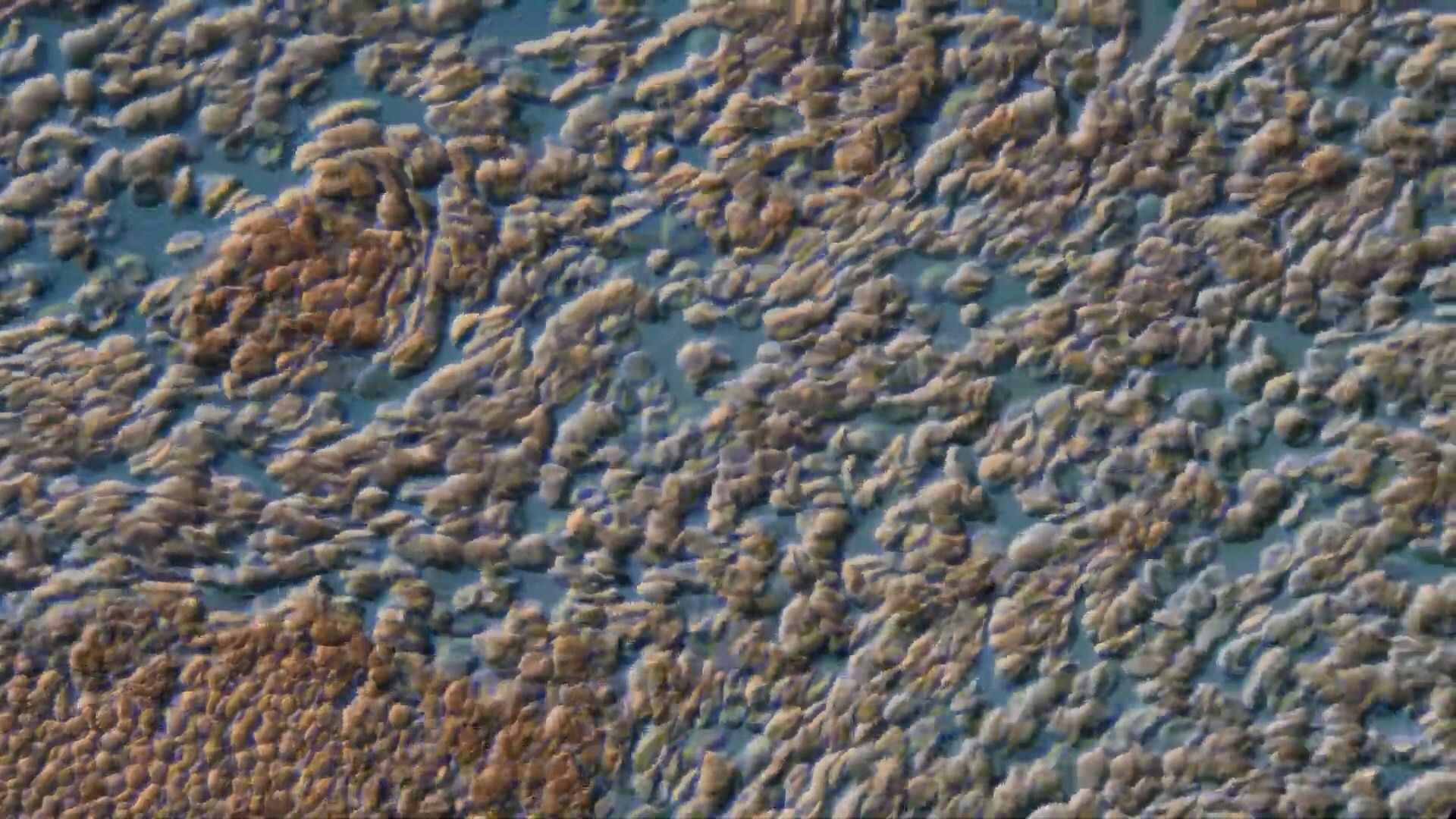 Your Screen Is Covered In Human Blood