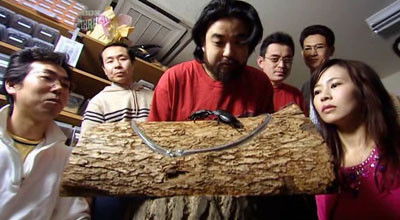 Bushido (Samurai Spirit)