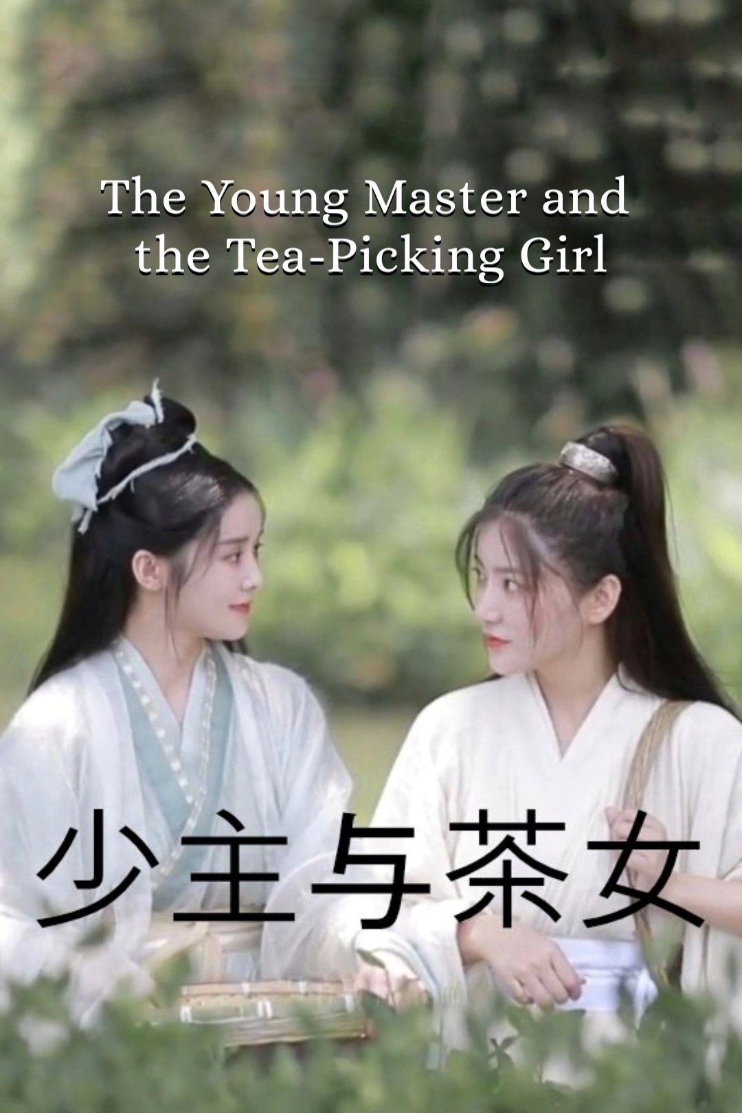 Poster de The Young Master and the Tea-Picking Girl