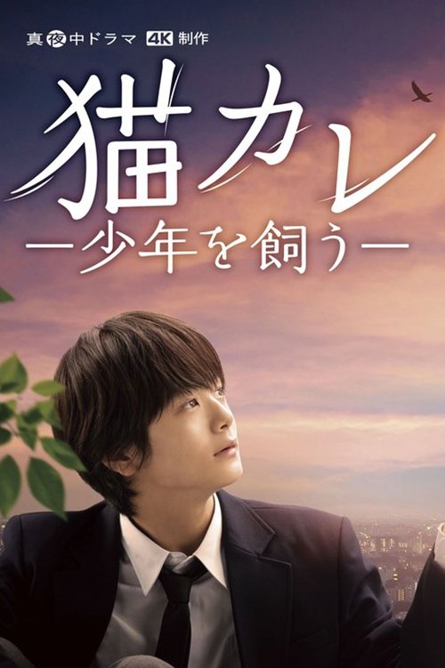 Poster de 猫カレ -少年を飼う-